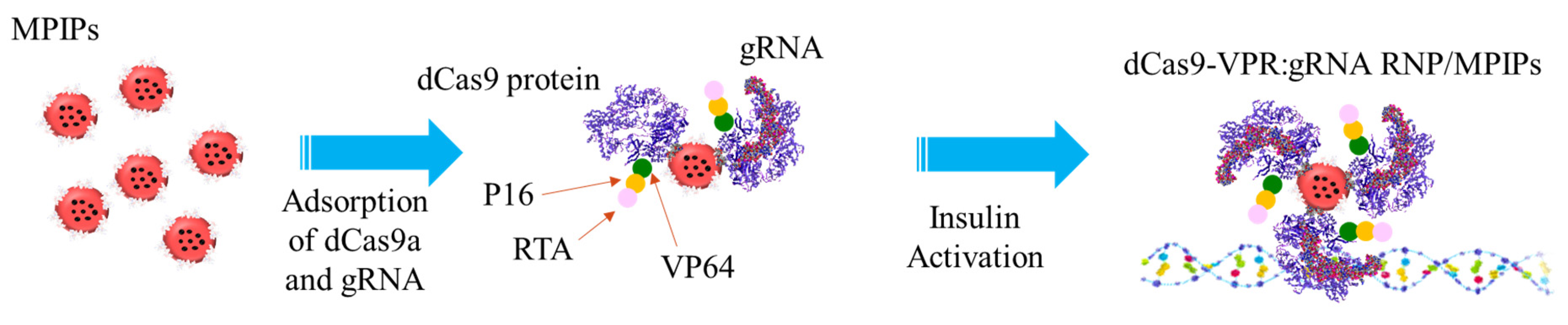 Pharmaceutics 15 01311 sch001 Pharmaceutics 15 01311 sch001