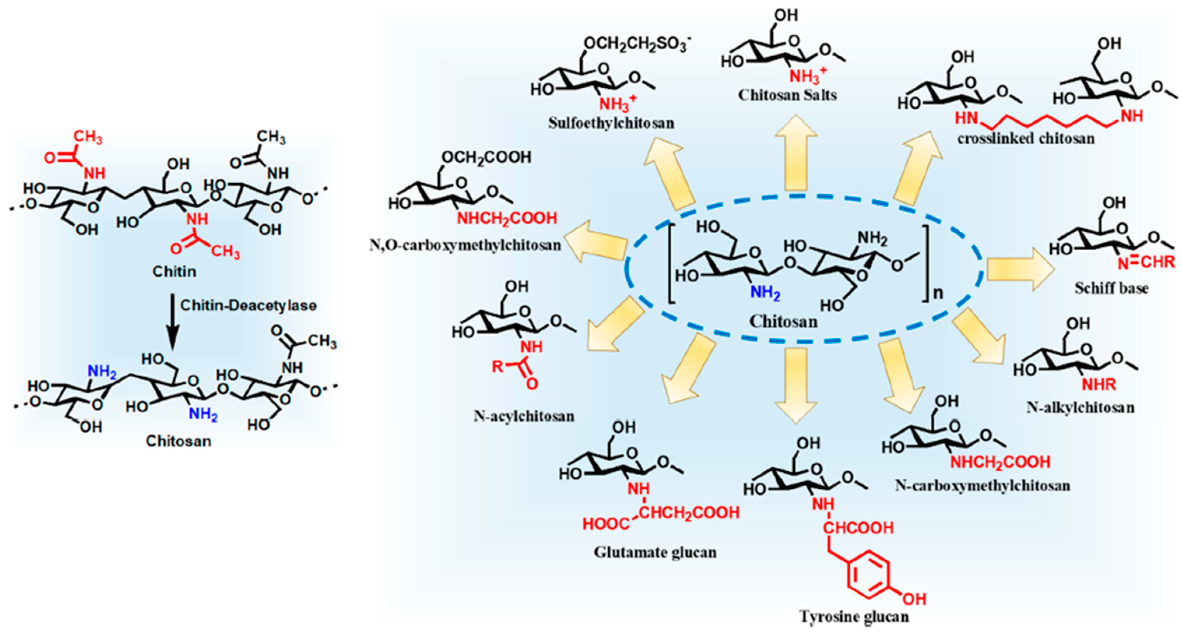 Pharmaceutics 15 01313 g002 Pharmaceutics 15 01313 g002