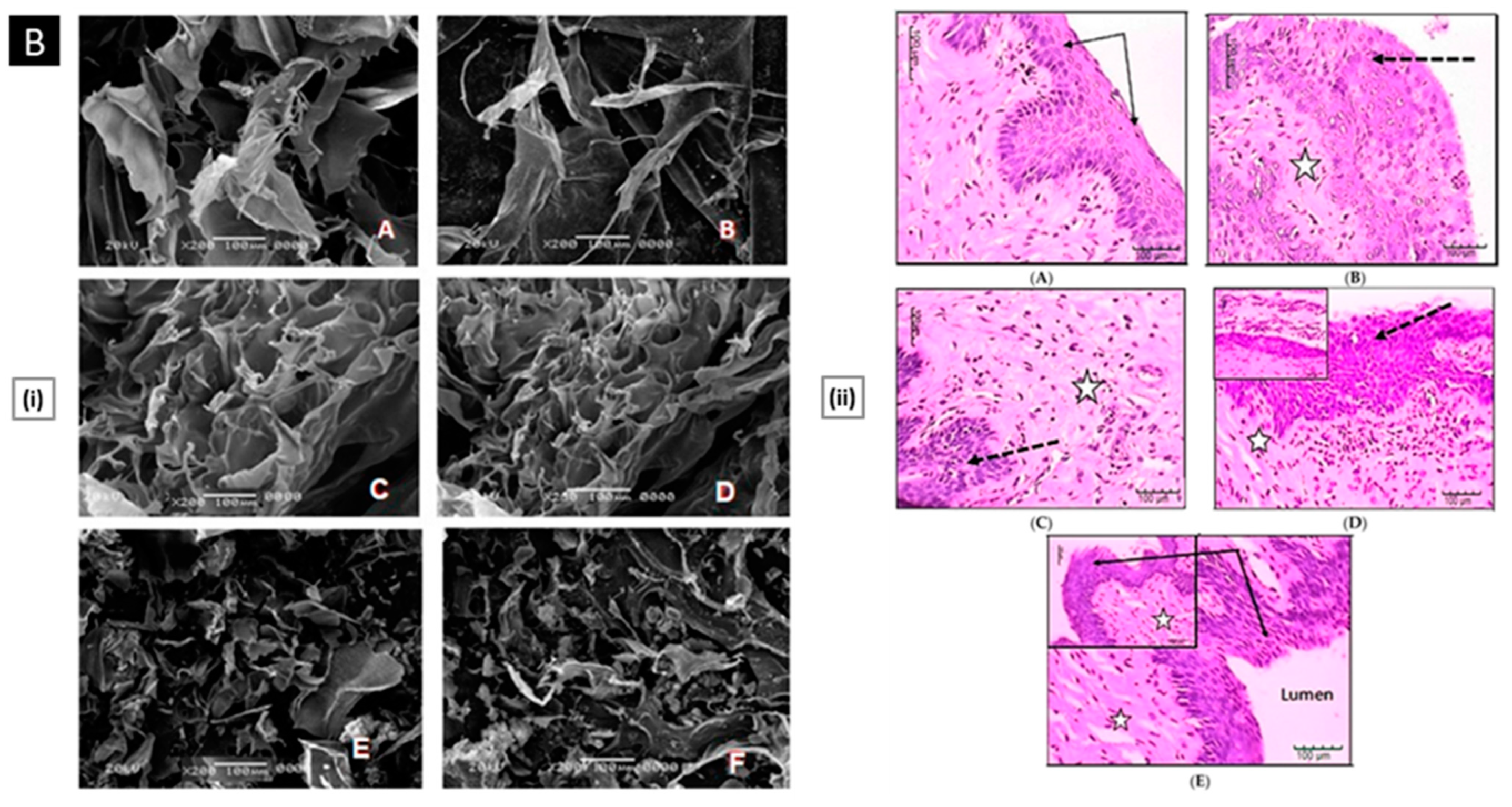 Pharmaceutics 15 01313 g007b Pharmaceutics 15 01313 g007b
