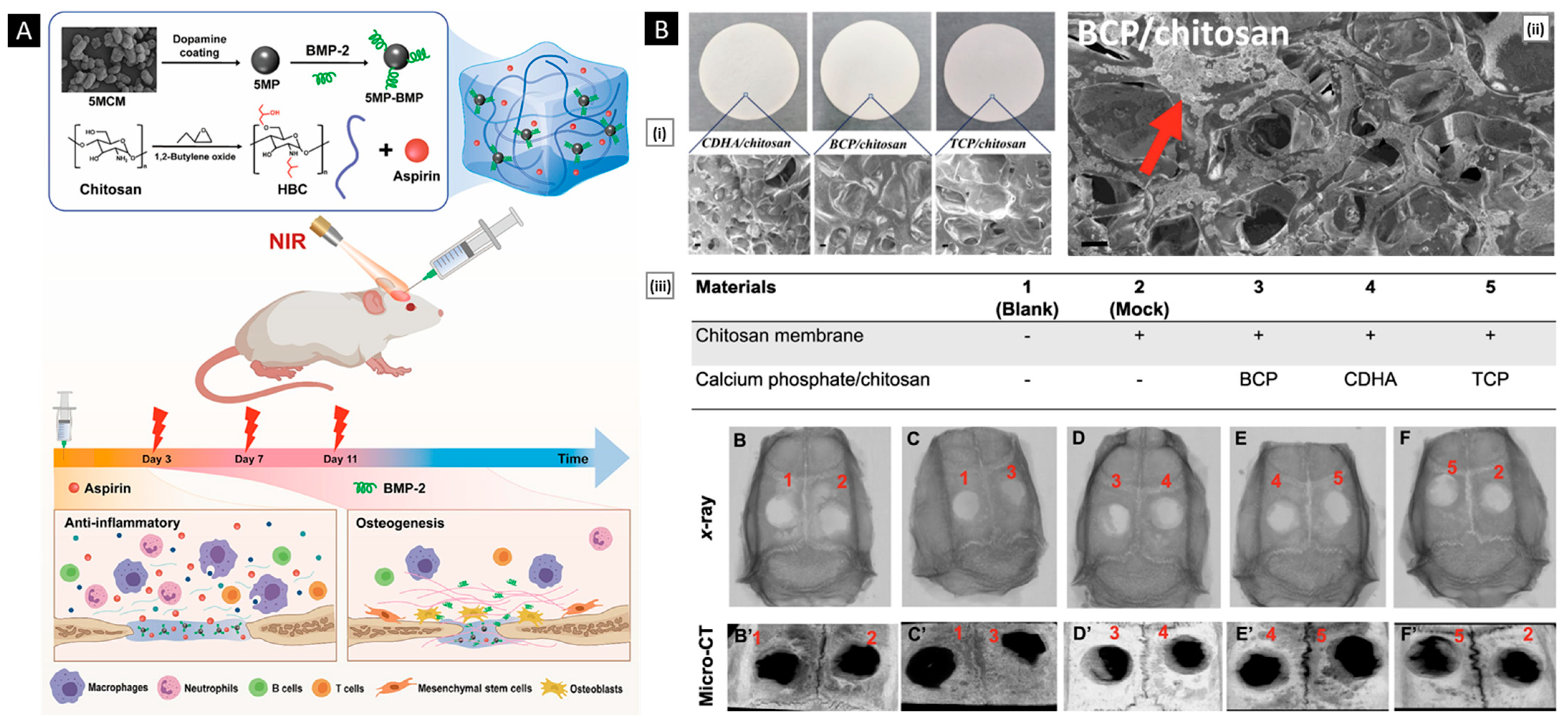 Pharmaceutics 15 01313 g008 Pharmaceutics 15 01313 g008