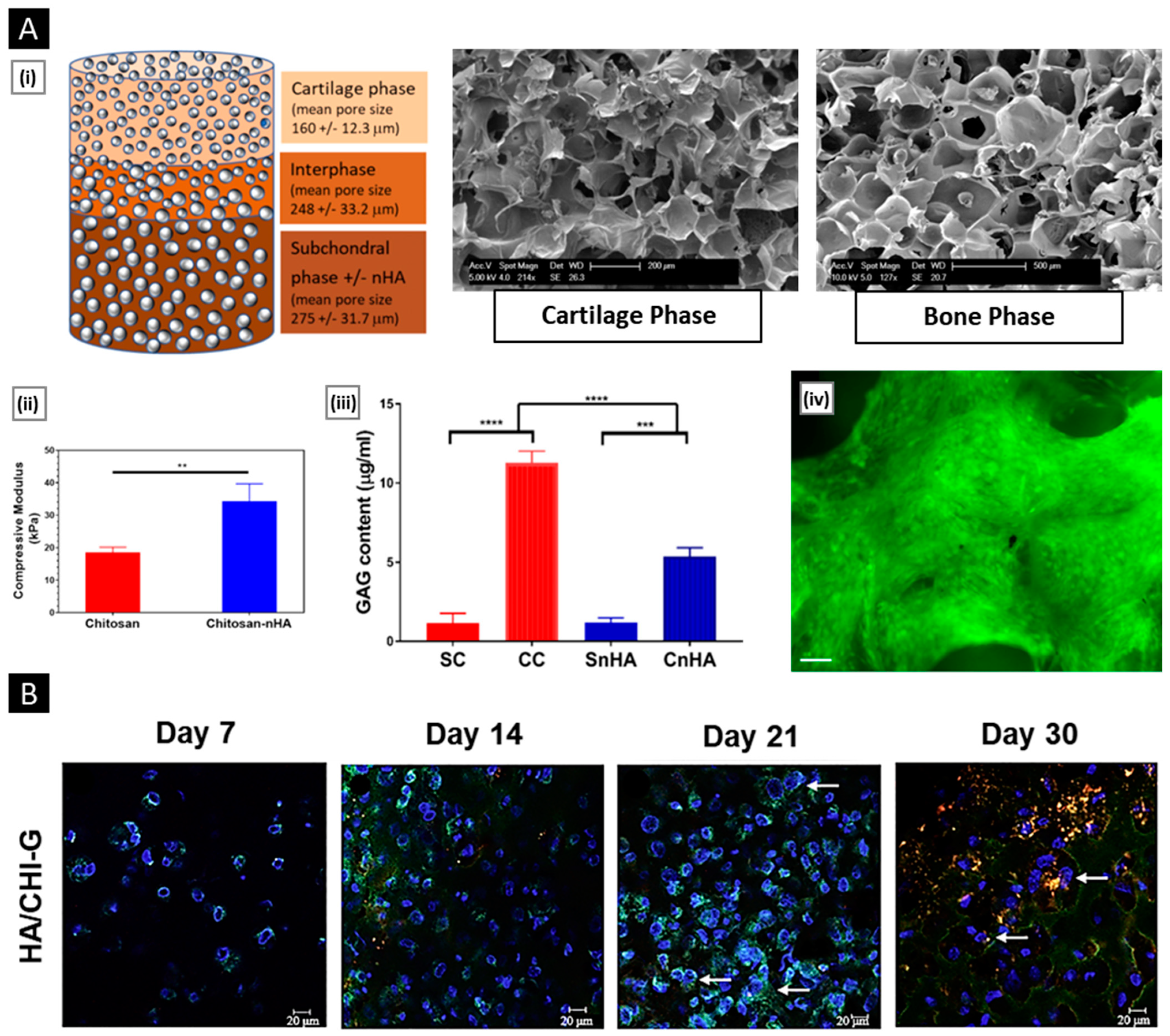 Pharmaceutics 15 01313 g010 Pharmaceutics 15 01313 g010