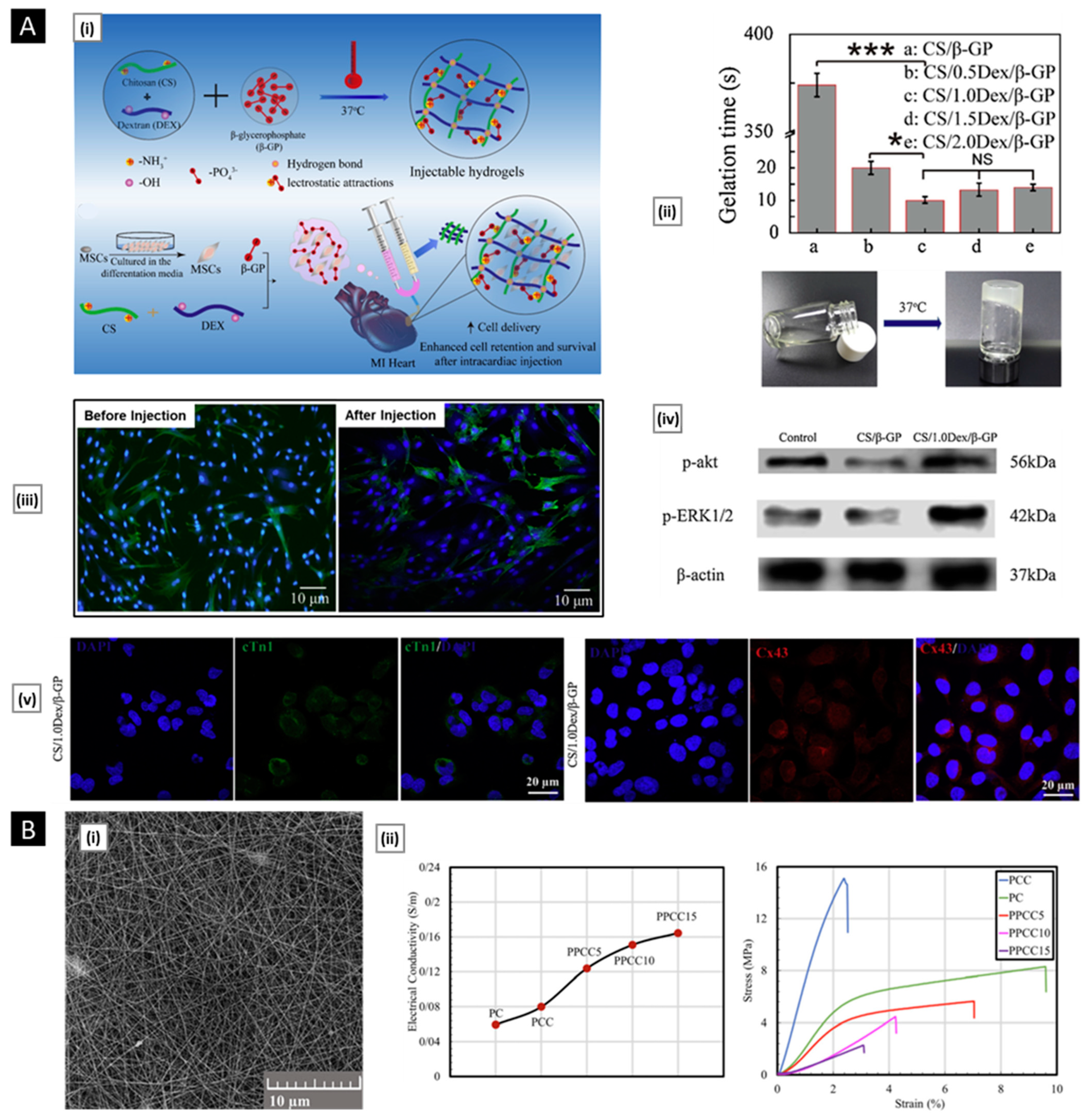 Pharmaceutics 15 01313 g011 Pharmaceutics 15 01313 g011