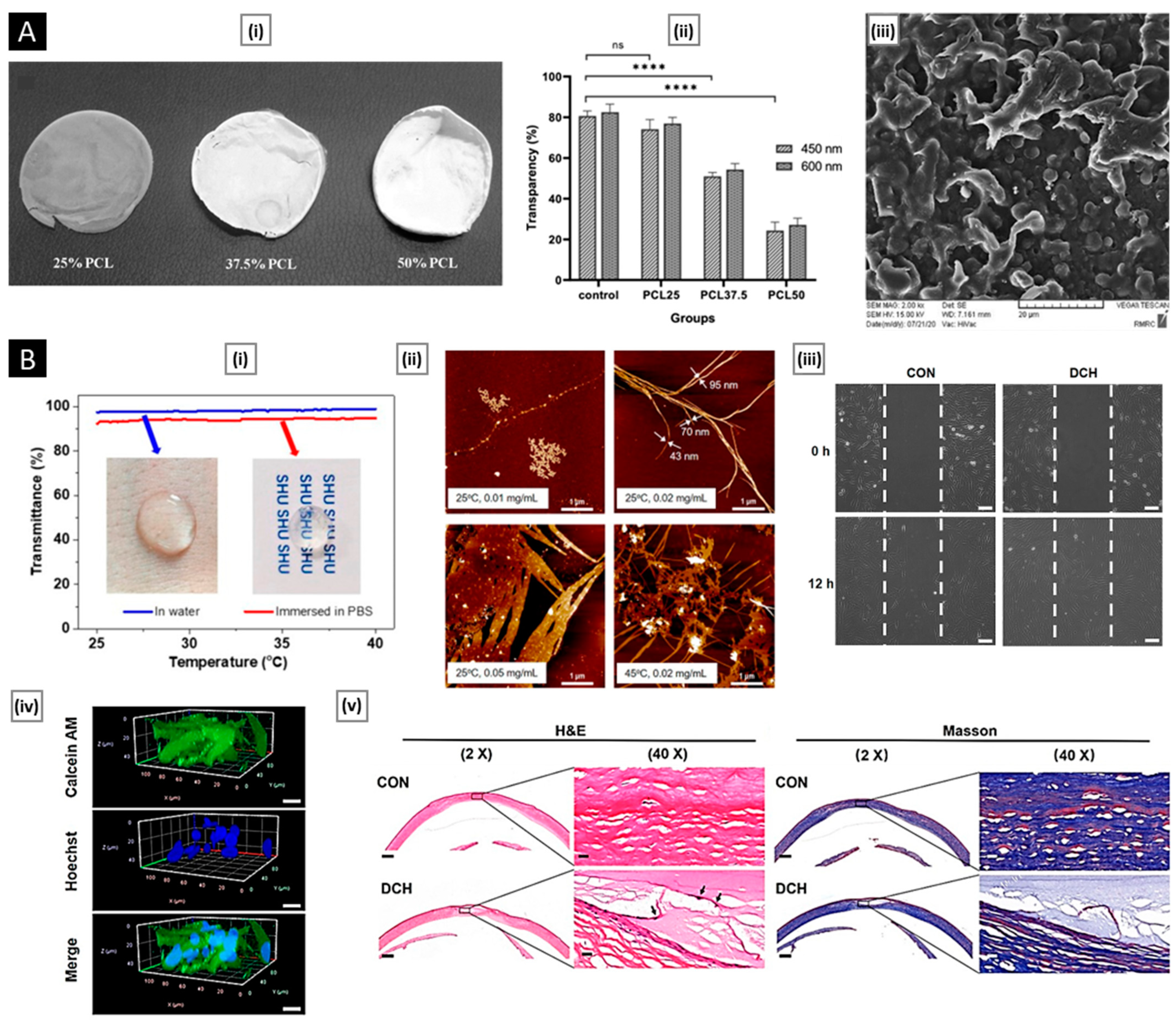 Pharmaceutics 15 01313 g012 Pharmaceutics 15 01313 g012