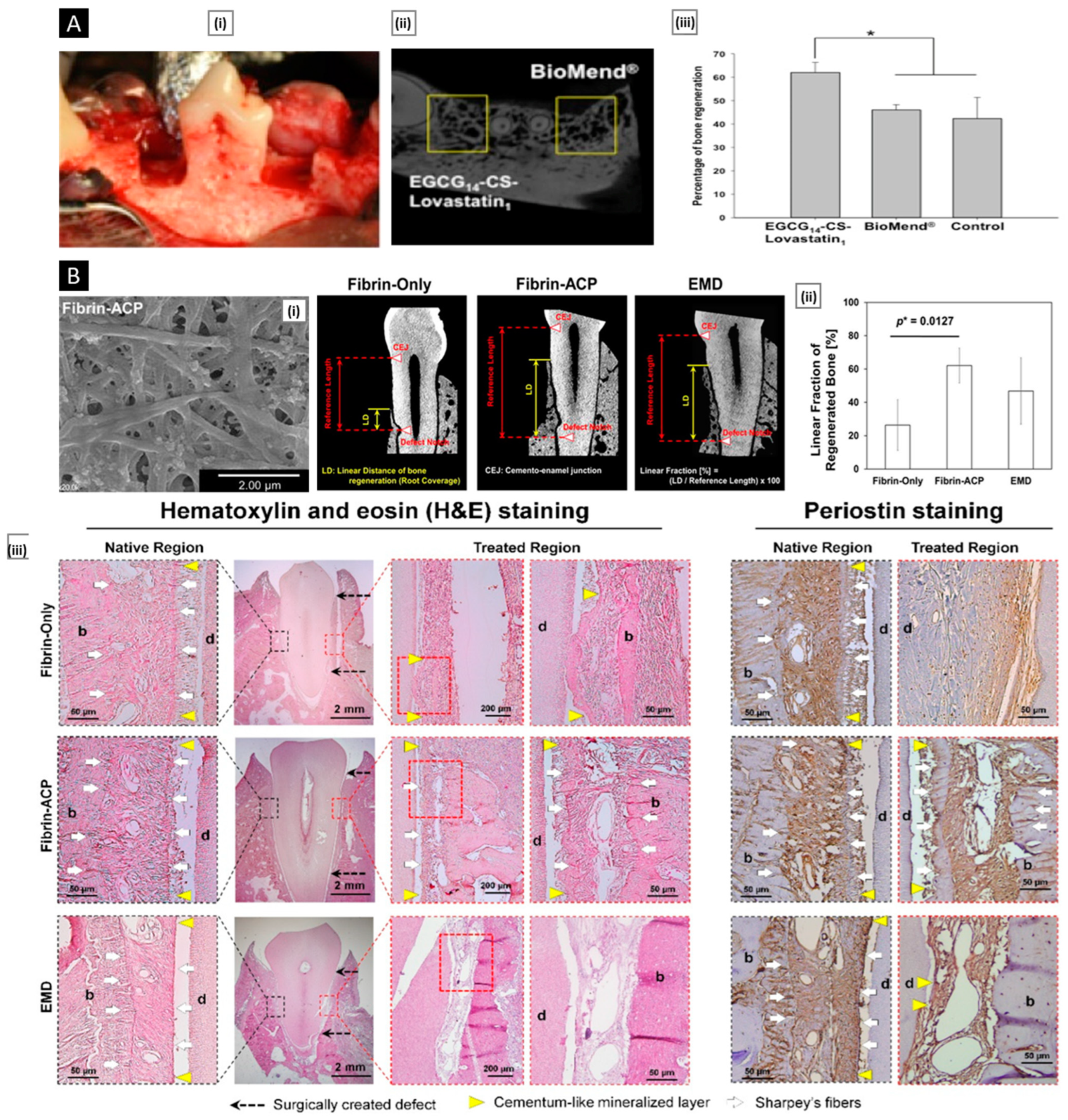 Pharmaceutics 15 01313 g013 Pharmaceutics 15 01313 g013