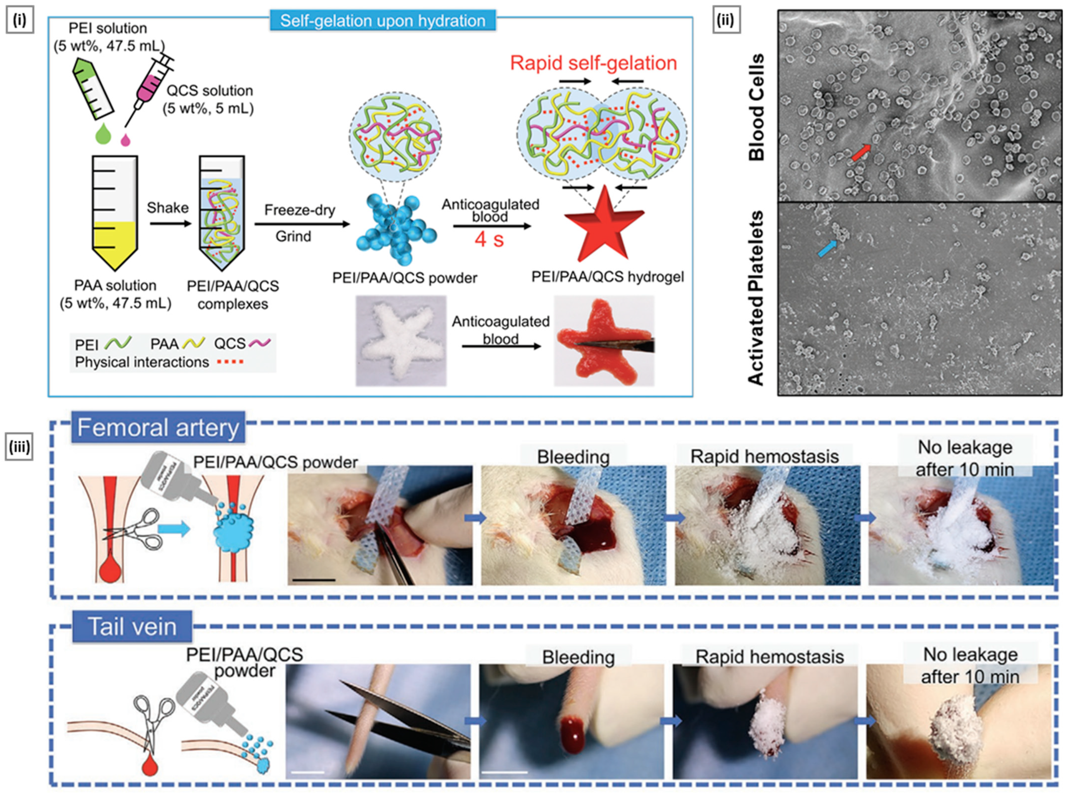 Pharmaceutics 15 01313 g015 Pharmaceutics 15 01313 g015