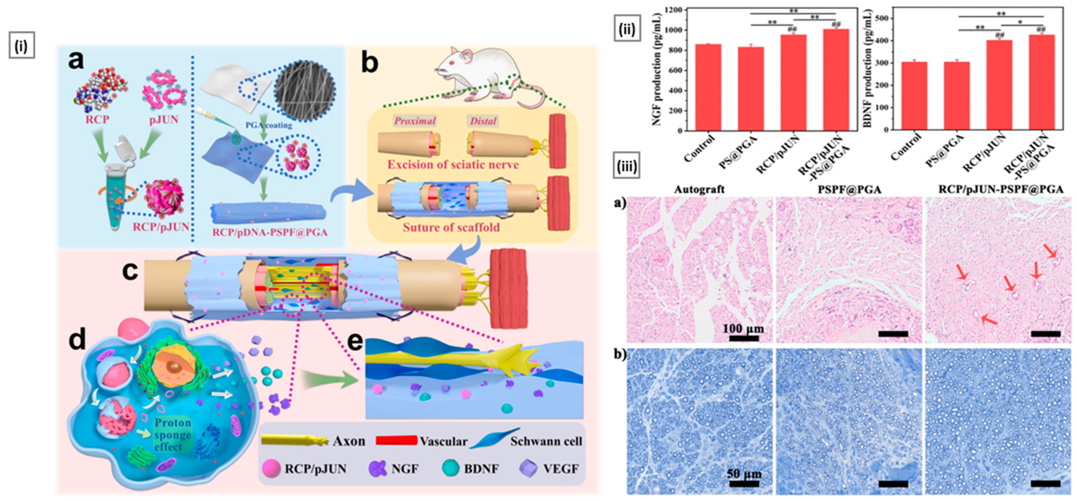 Pharmaceutics 15 01313 g017 Pharmaceutics 15 01313 g017