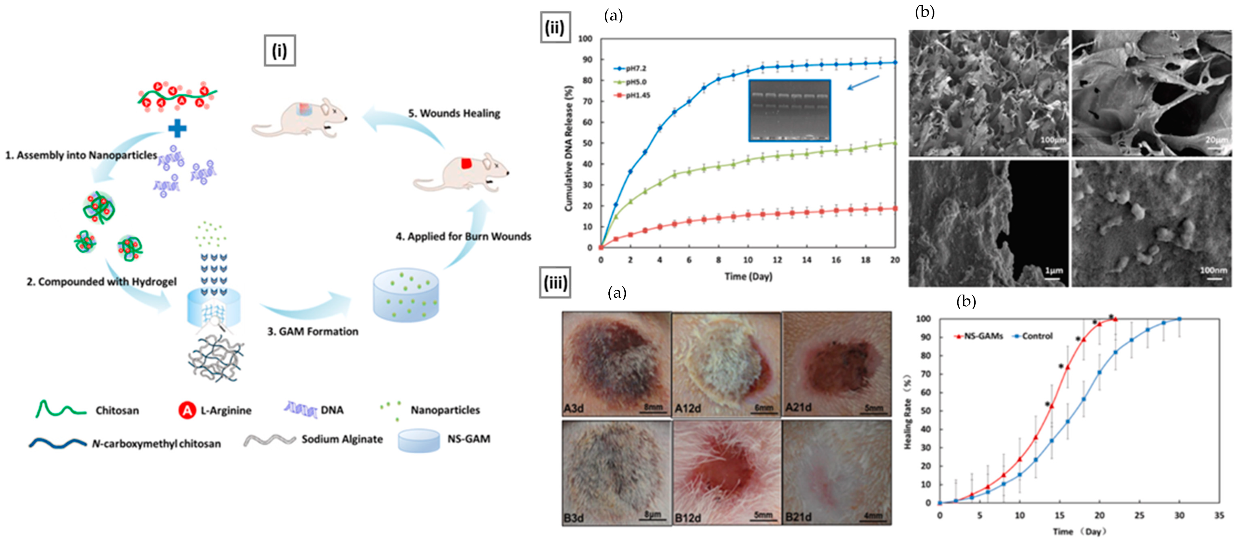 Pharmaceutics 15 01313 g018 Pharmaceutics 15 01313 g018