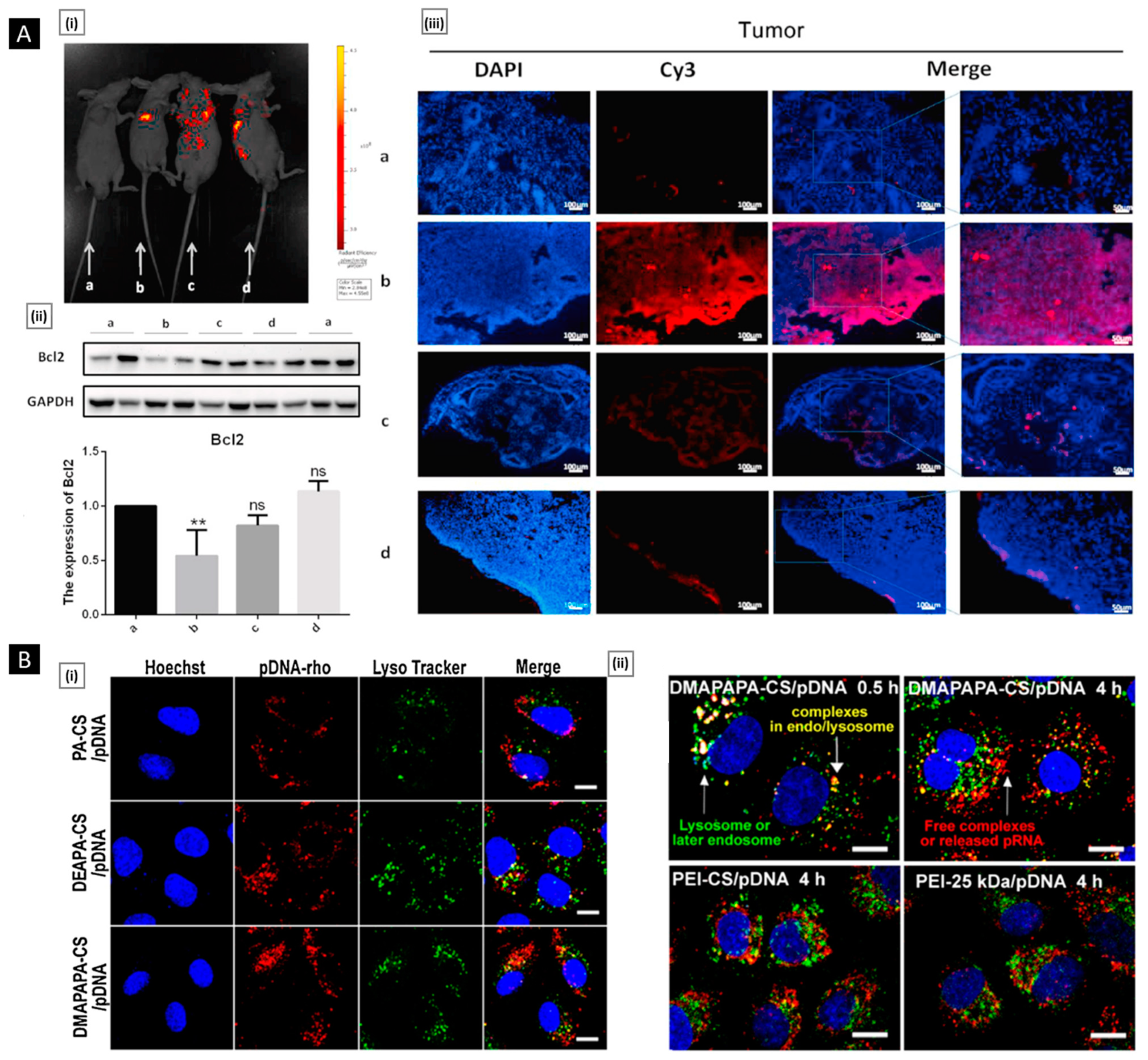 Pharmaceutics 15 01313 g019 Pharmaceutics 15 01313 g019