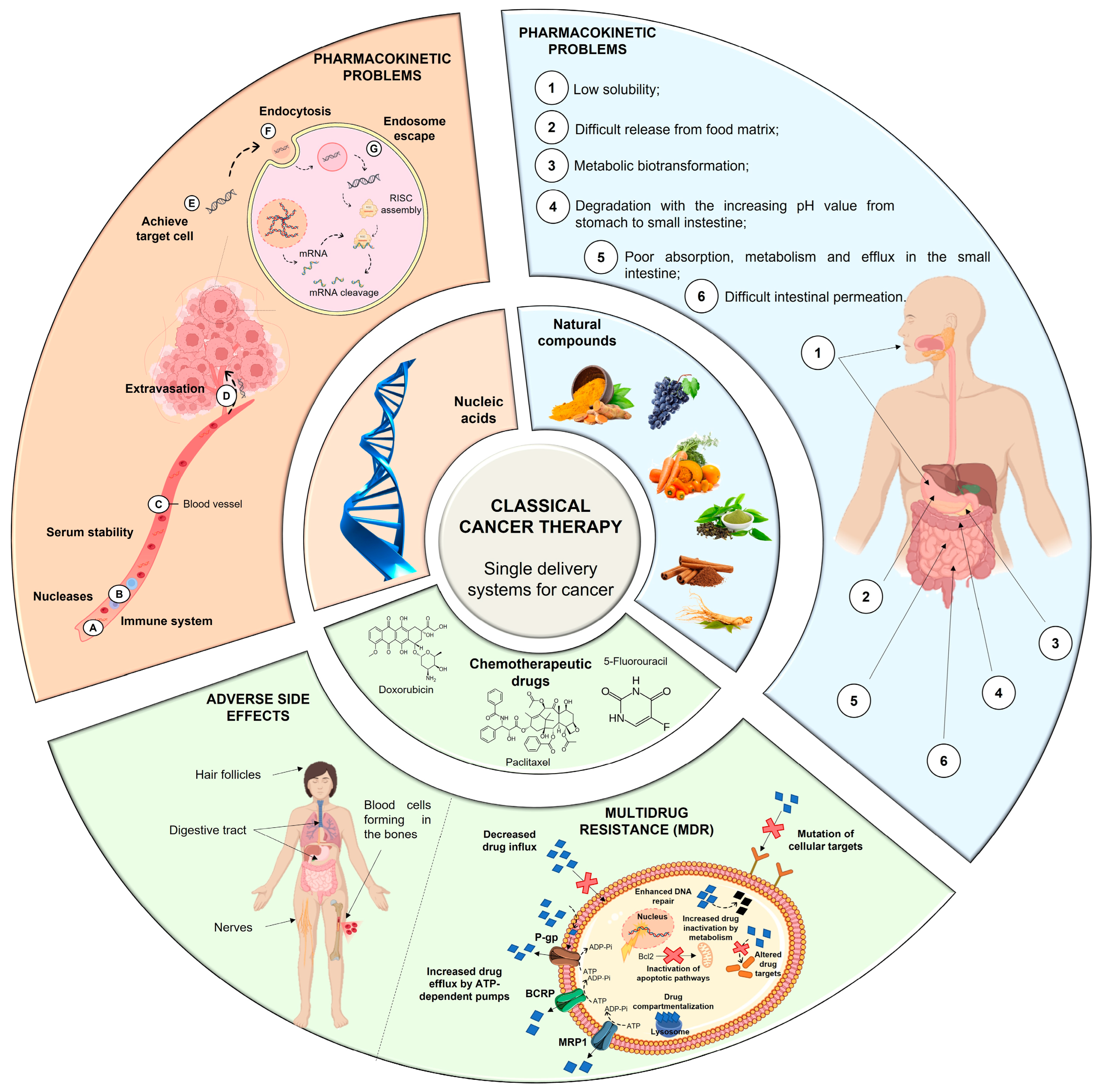 Pharmaceutics 15 01317 g001 Pharmaceutics 15 01317 g001