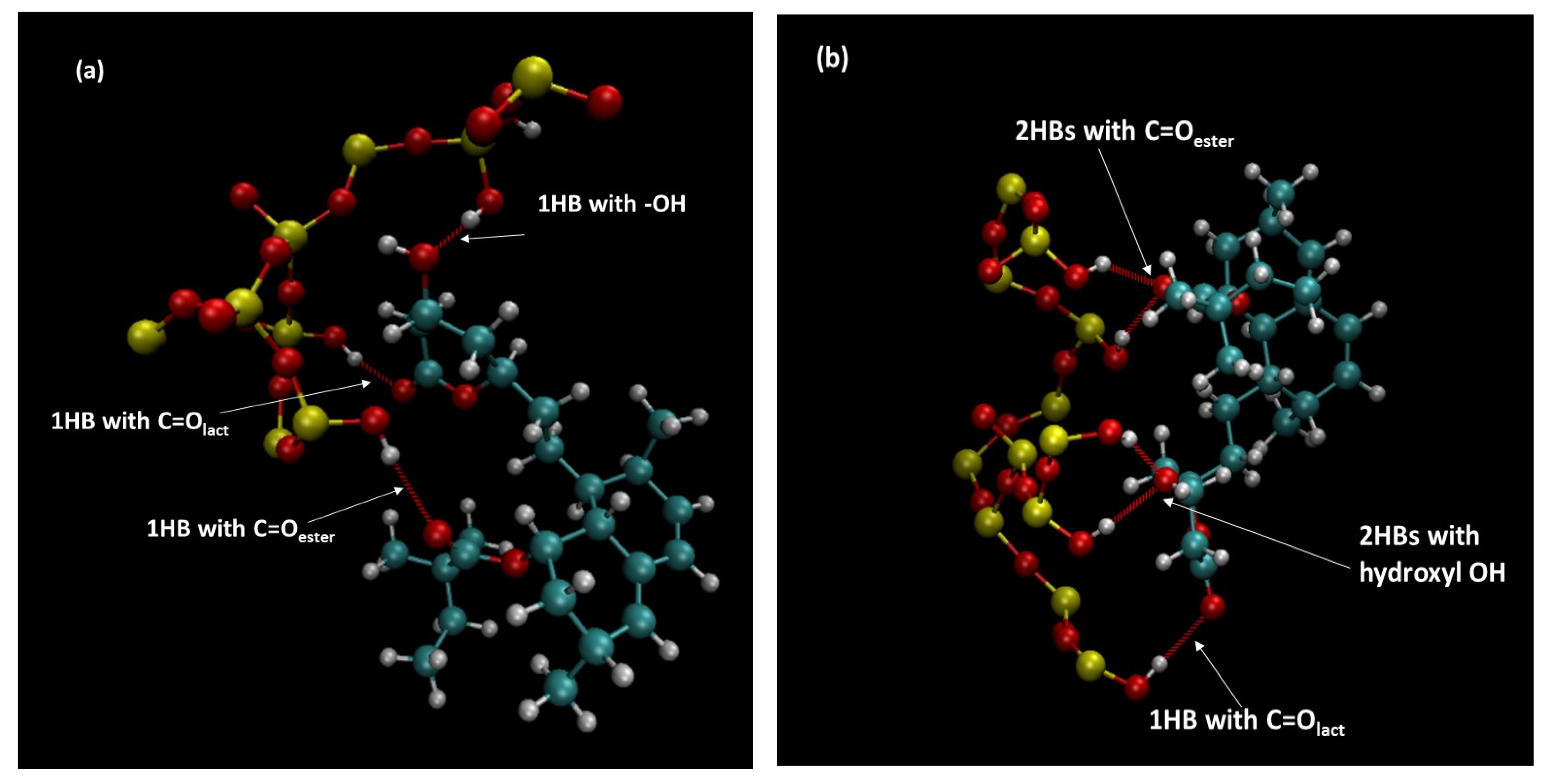 Pharmaceutics 15 01320 g011