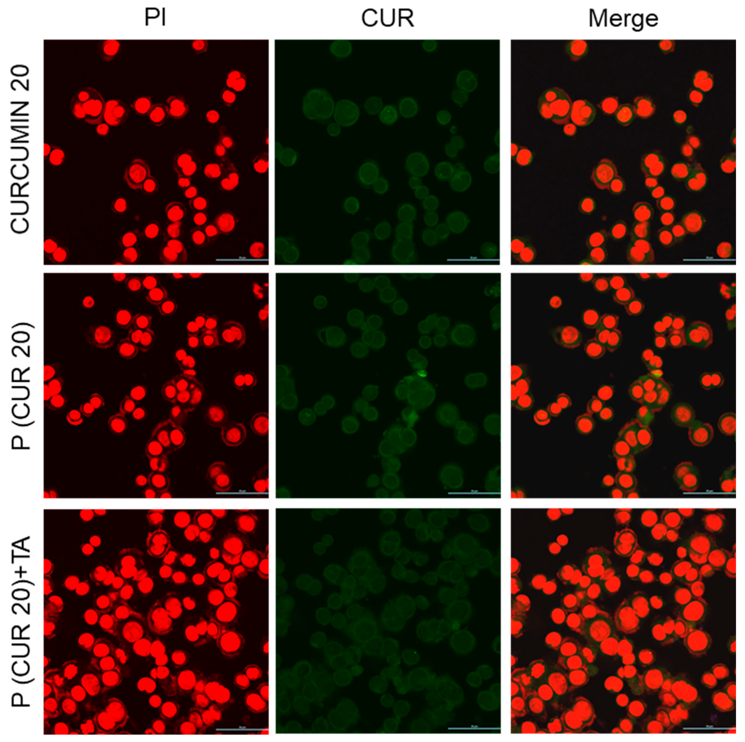 Pharmaceutics 15 01326 g010 Pharmaceutics 15 01326 g010
