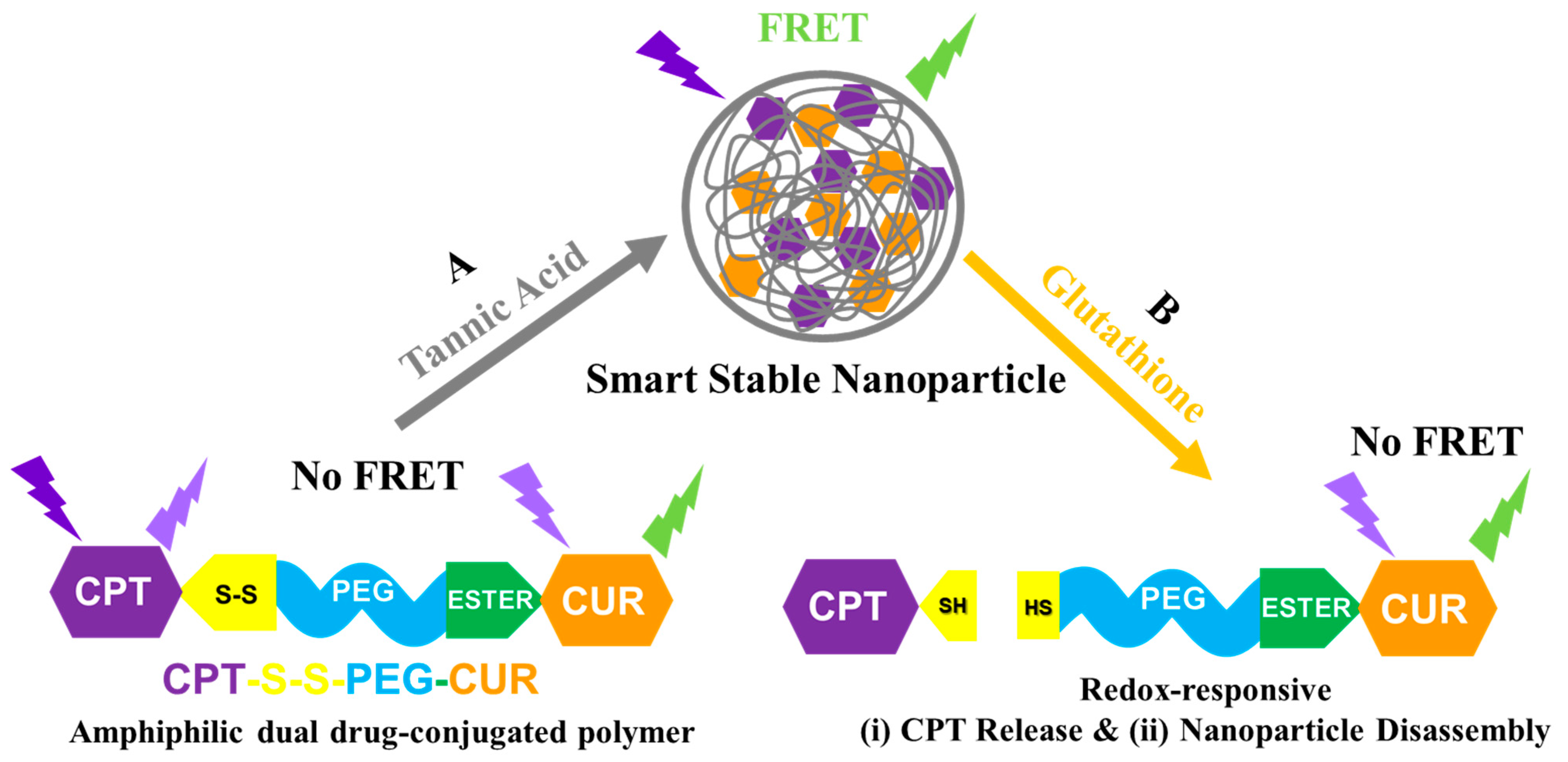 Pharmaceutics 15 01326 sch001 Pharmaceutics 15 01326 sch001