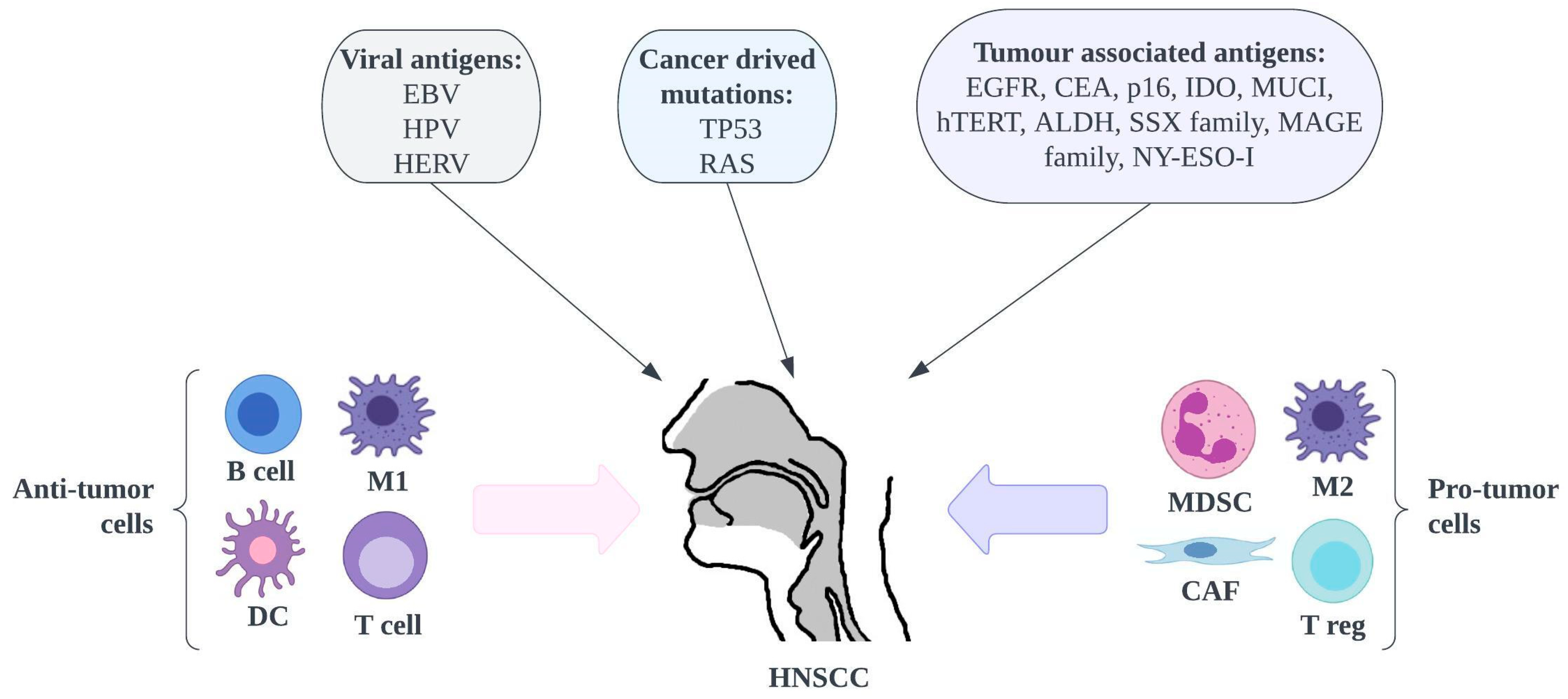 Pharmaceutics 15 01327 g002 Pharmaceutics 15 01327 g002