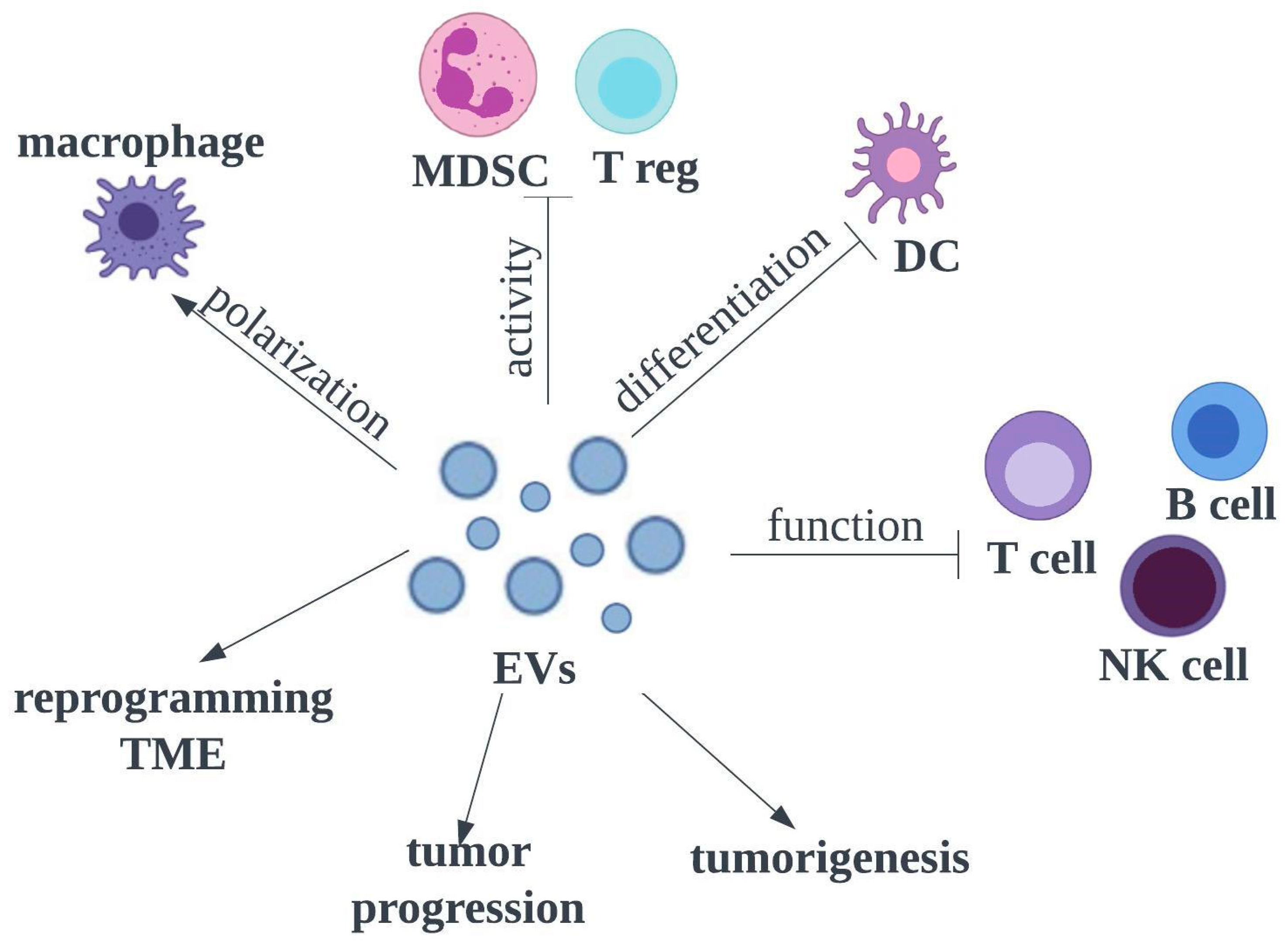 Pharmaceutics 15 01327 g003 Pharmaceutics 15 01327 g003