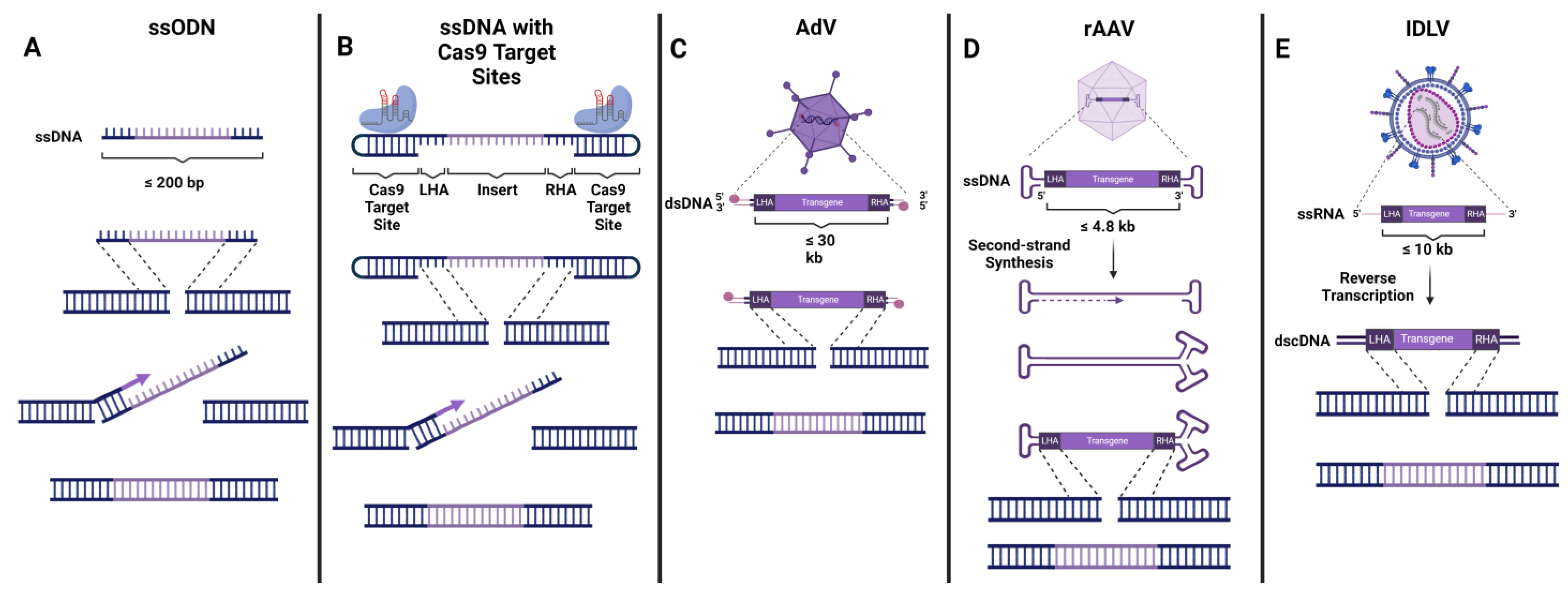 Pharmaceutics 15 01329 g002 Pharmaceutics 15 01329 g002