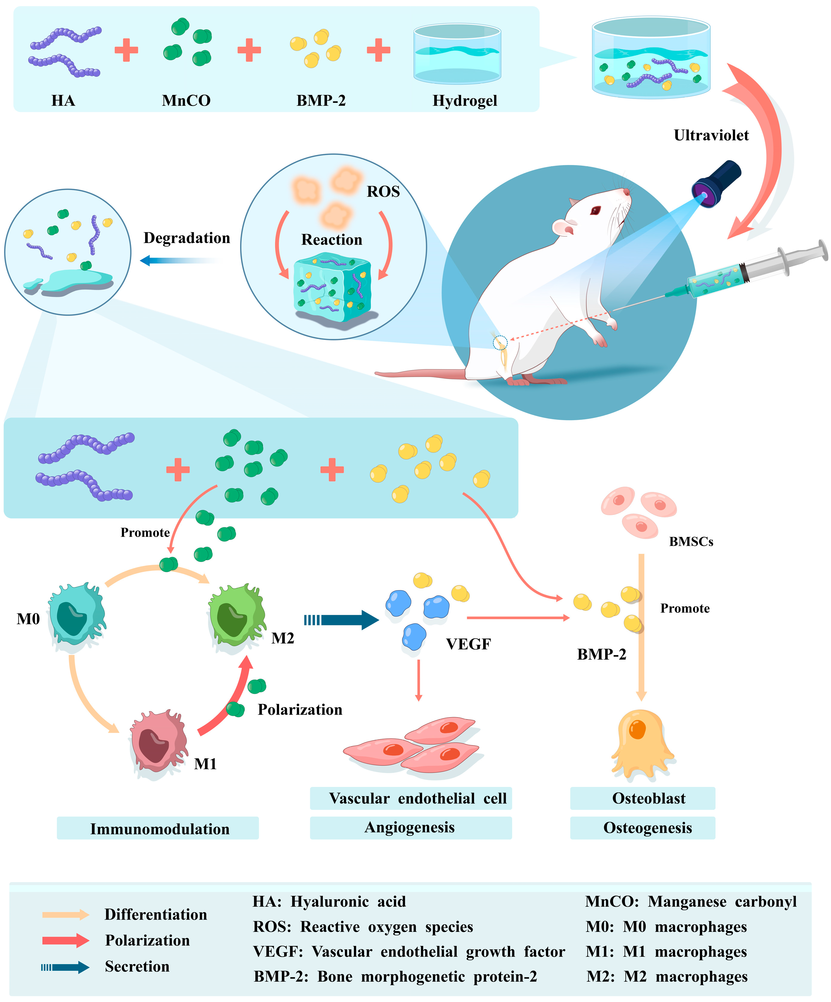 Pharmaceutics 15 01334 g002 Pharmaceutics 15 01334 g002