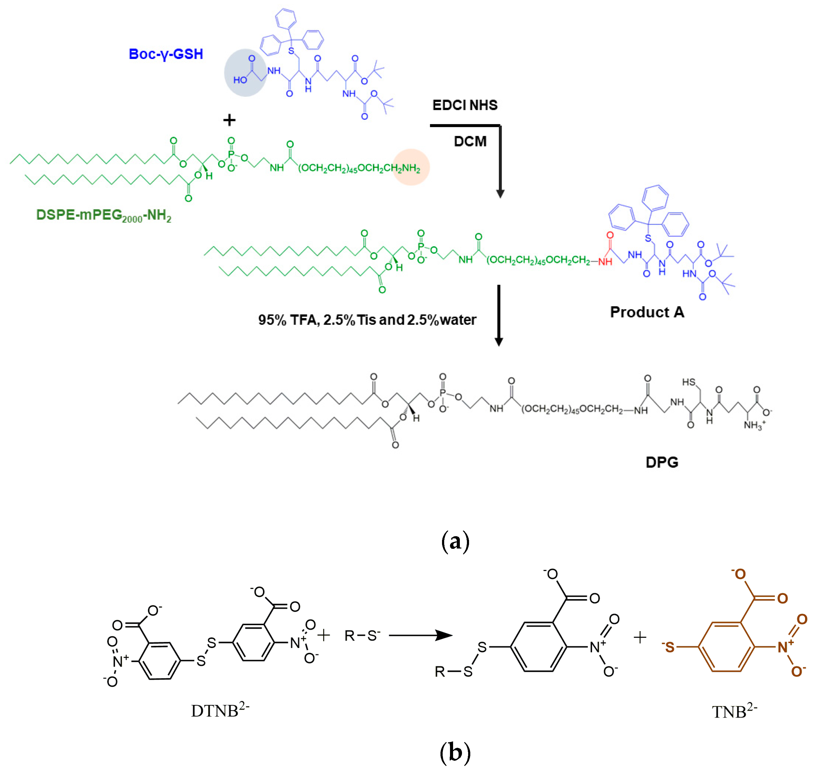 Pharmaceutics 15 01335 g002 Pharmaceutics 15 01335 g002