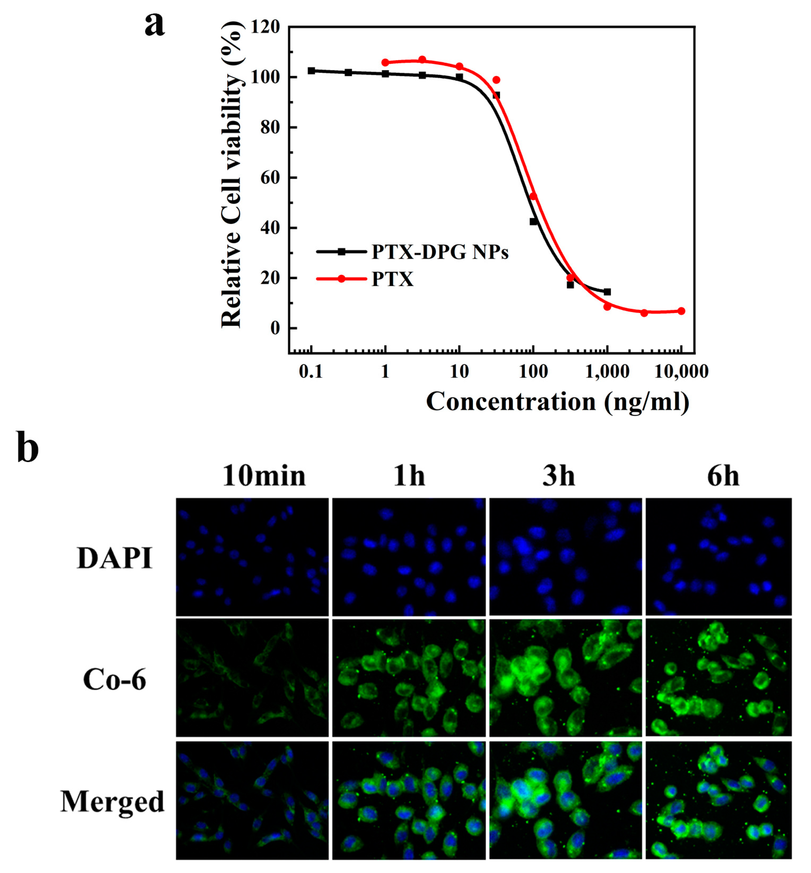 Pharmaceutics 15 01335 g006 Pharmaceutics 15 01335 g006