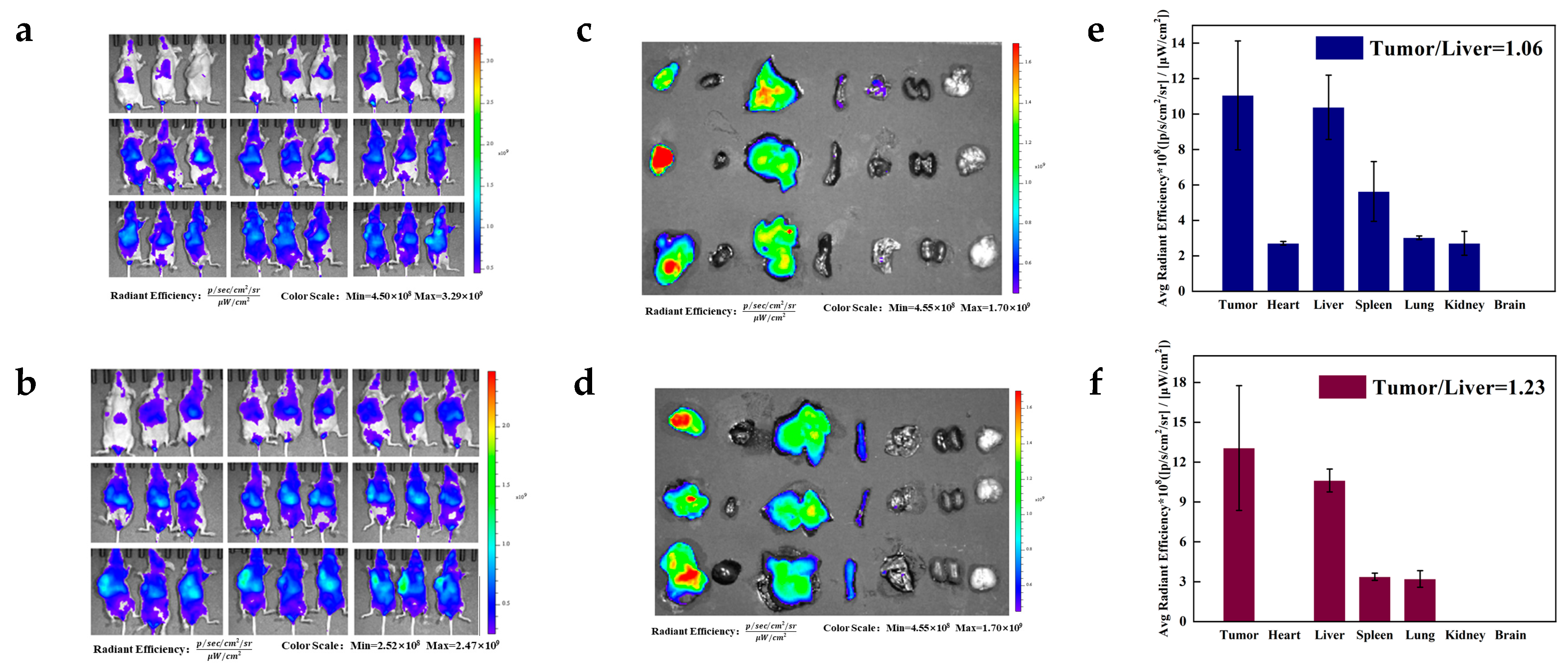 Pharmaceutics 15 01335 g007 Pharmaceutics 15 01335 g007