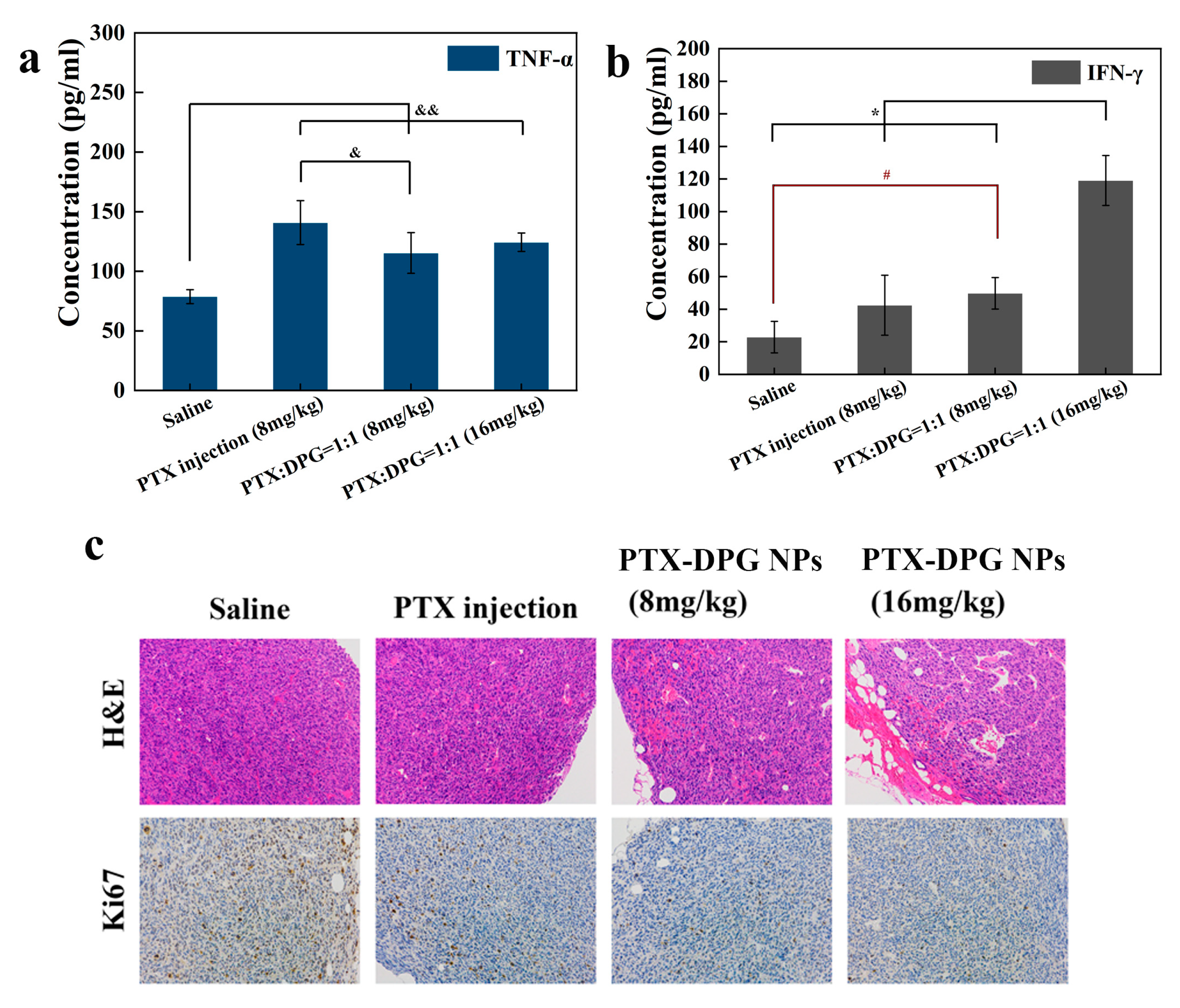 Pharmaceutics 15 01335 g009 Pharmaceutics 15 01335 g009