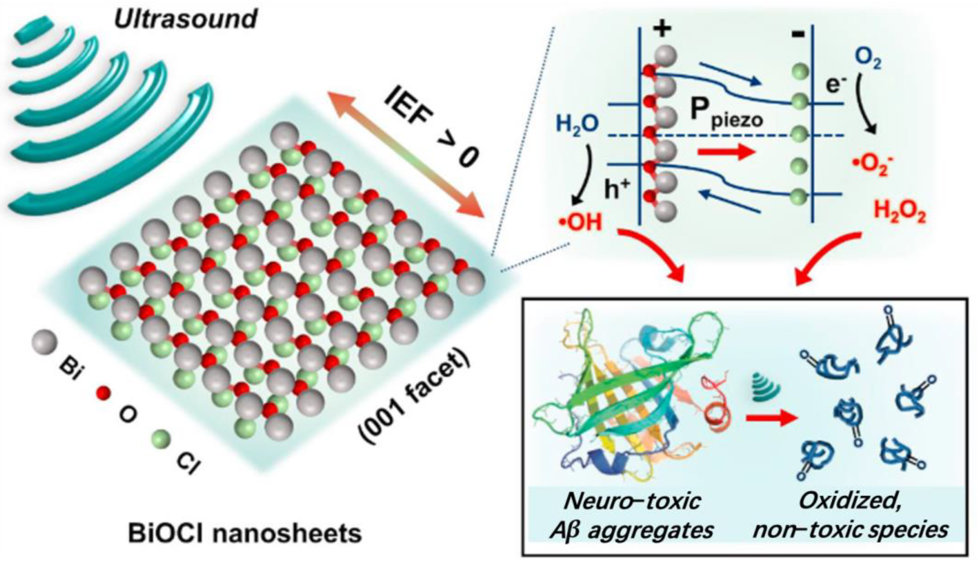 Pharmaceutics 15 01338 g002 Pharmaceutics 15 01338 g002
