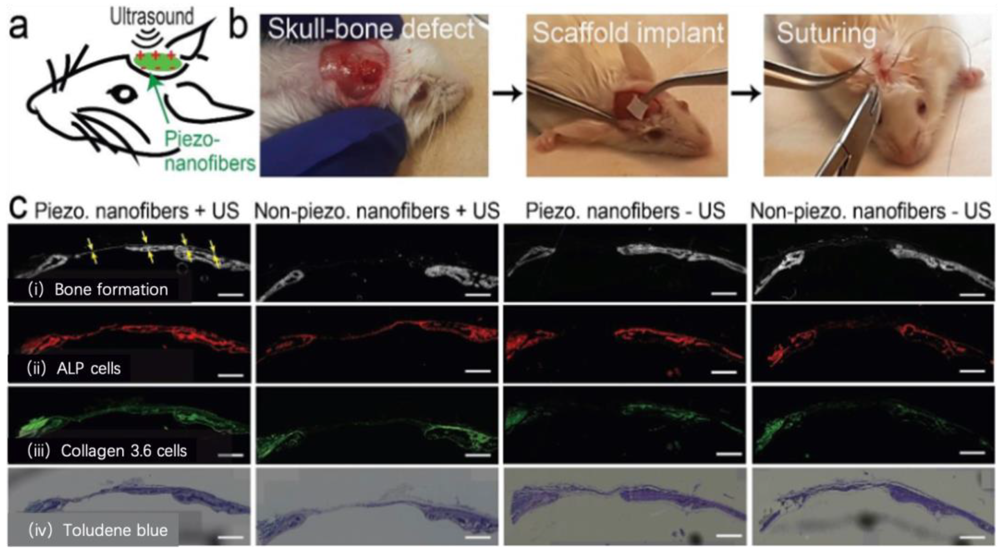 Pharmaceutics 15 01338 g003 Pharmaceutics 15 01338 g003