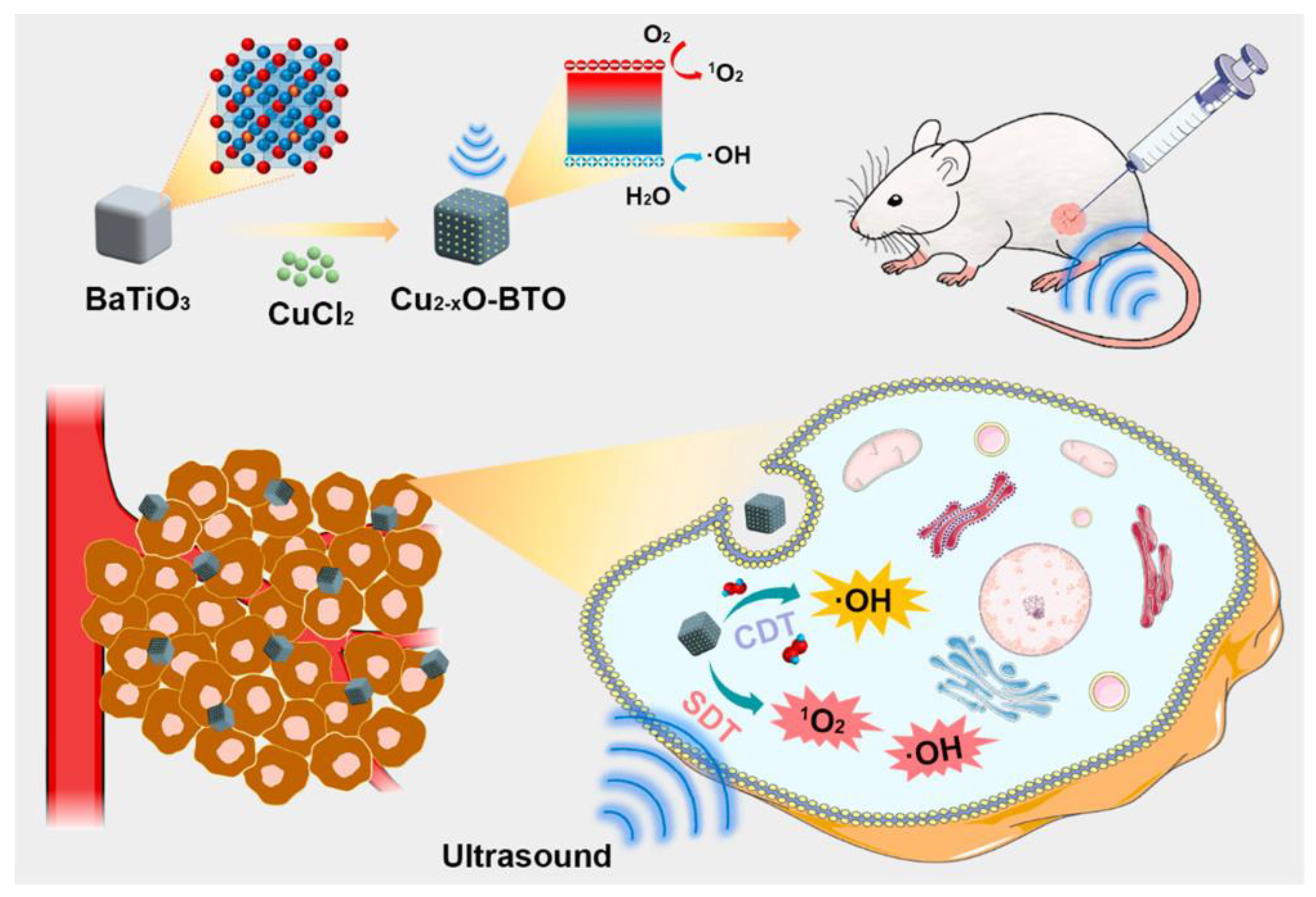 Pharmaceutics 15 01338 g007 Pharmaceutics 15 01338 g007
