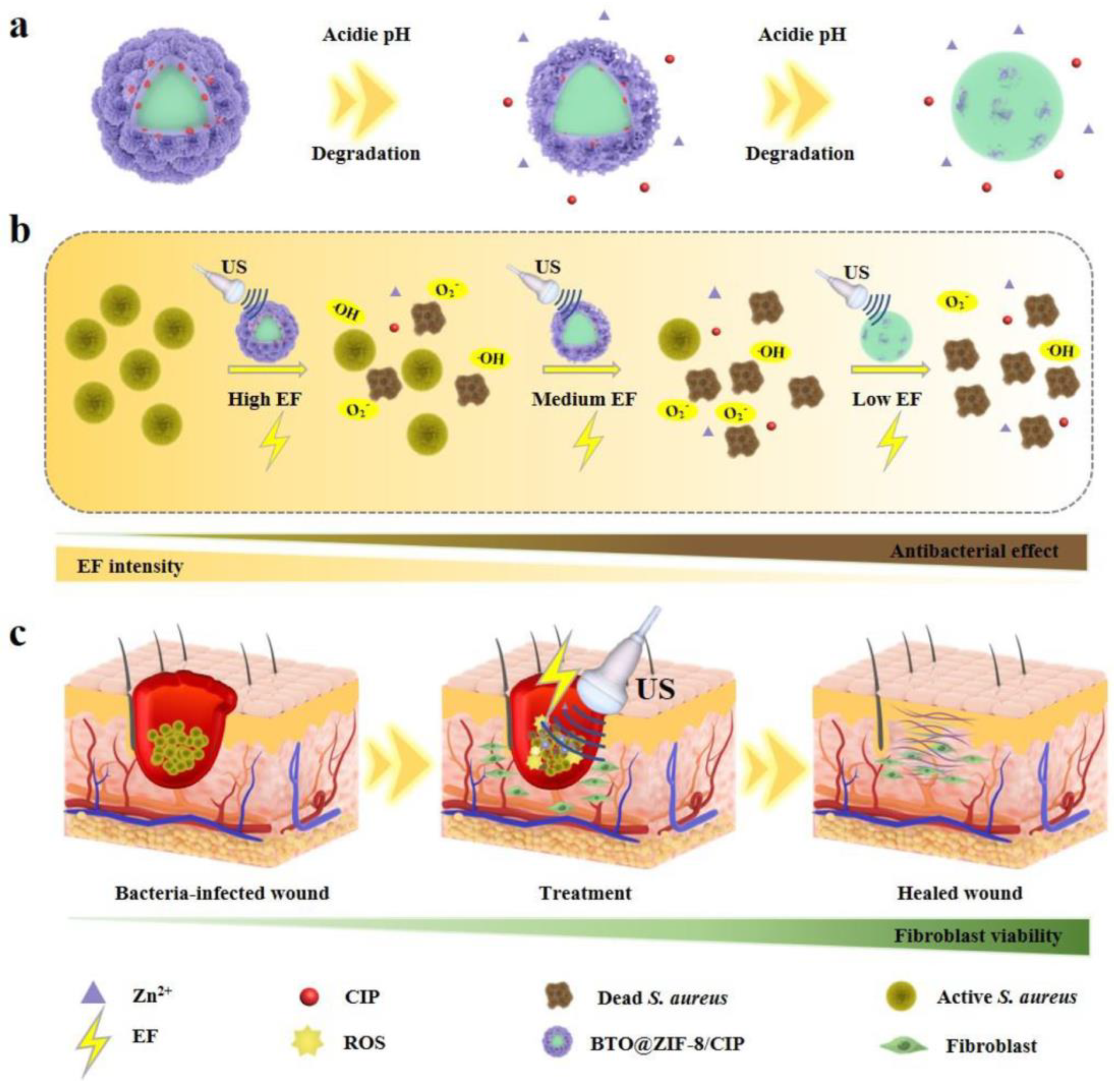 Pharmaceutics 15 01338 g008 Pharmaceutics 15 01338 g008