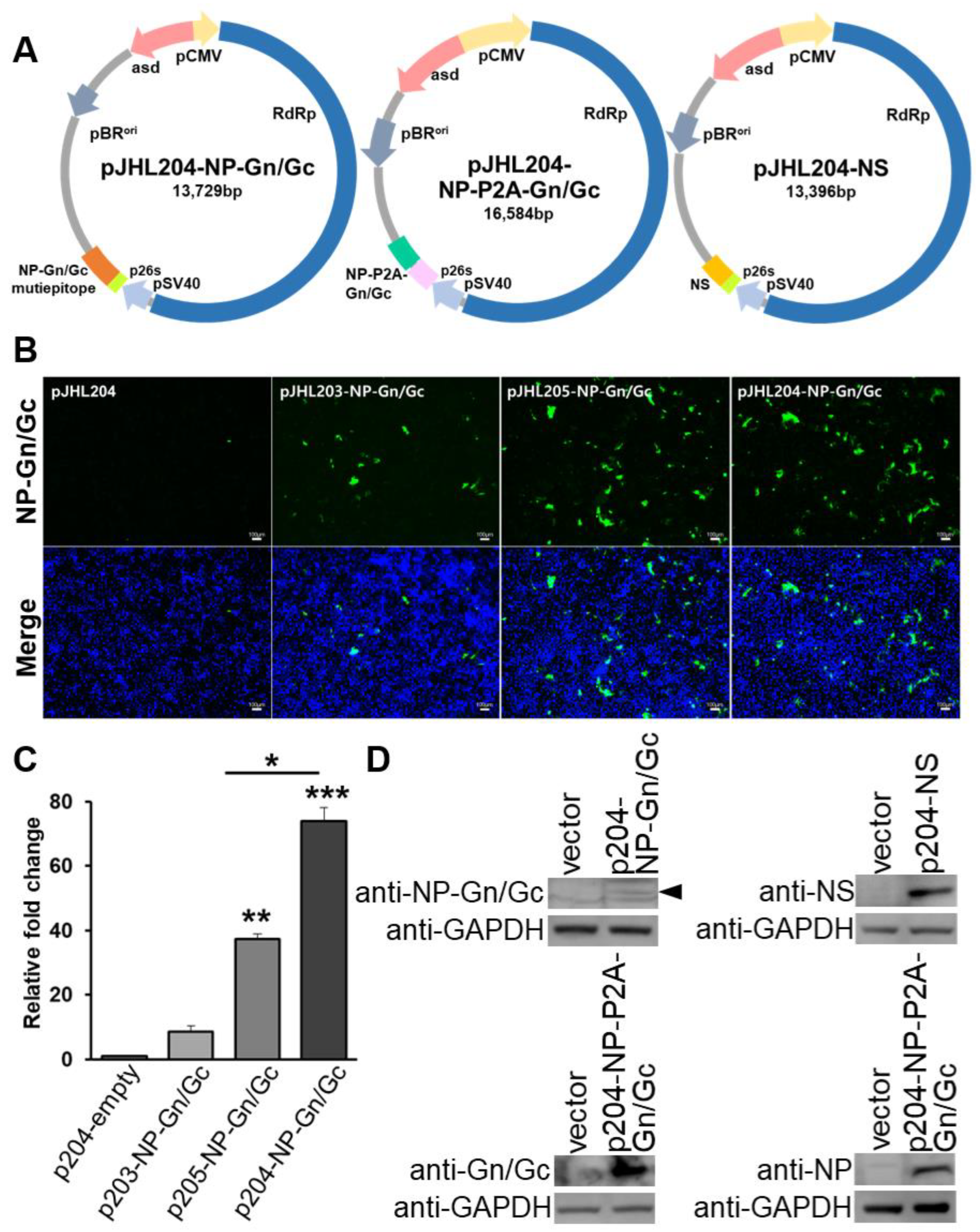 Pharmaceutics 15 01339 g002