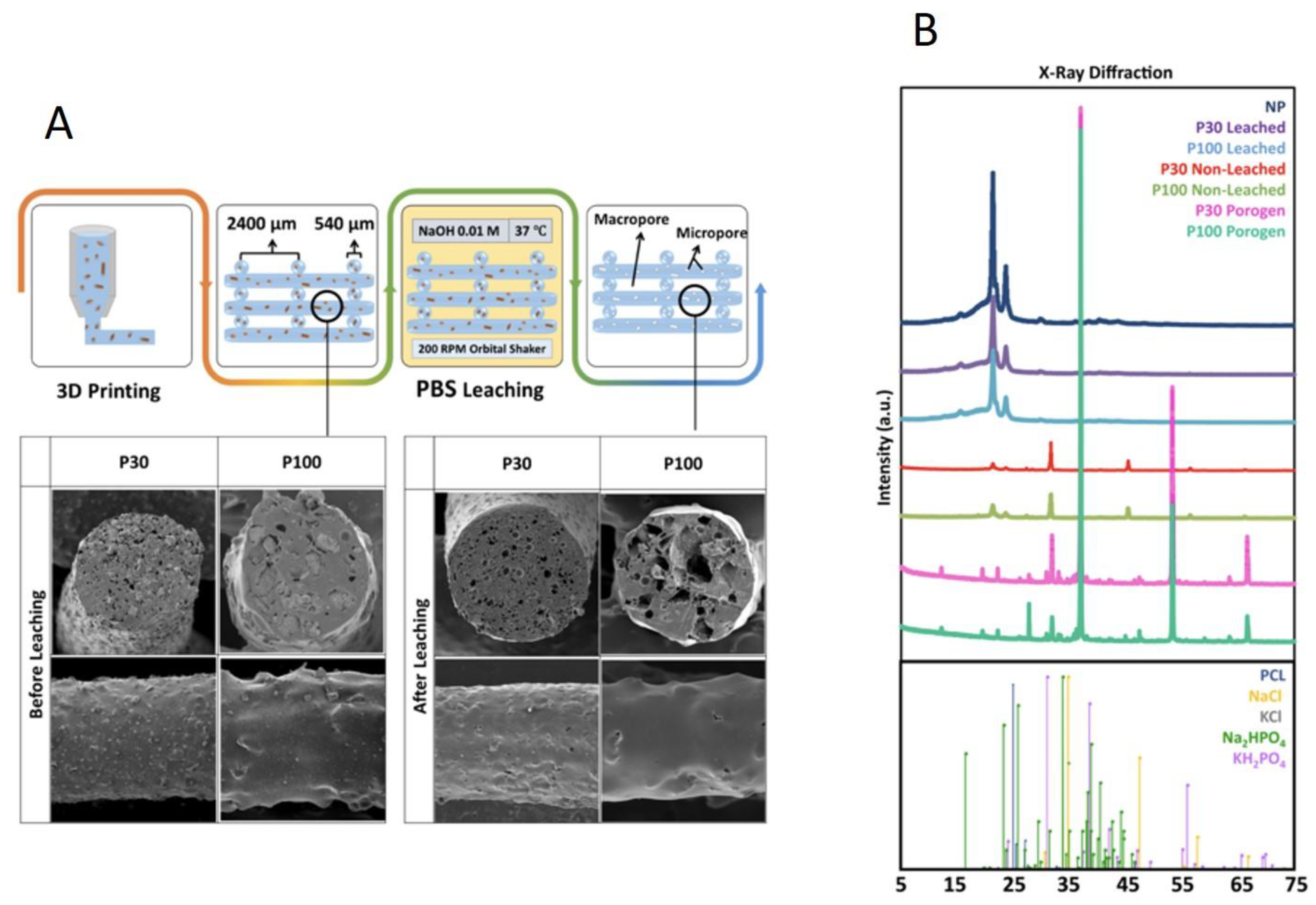 Pharmaceutics 15 01340 g003 Pharmaceutics 15 01340 g003