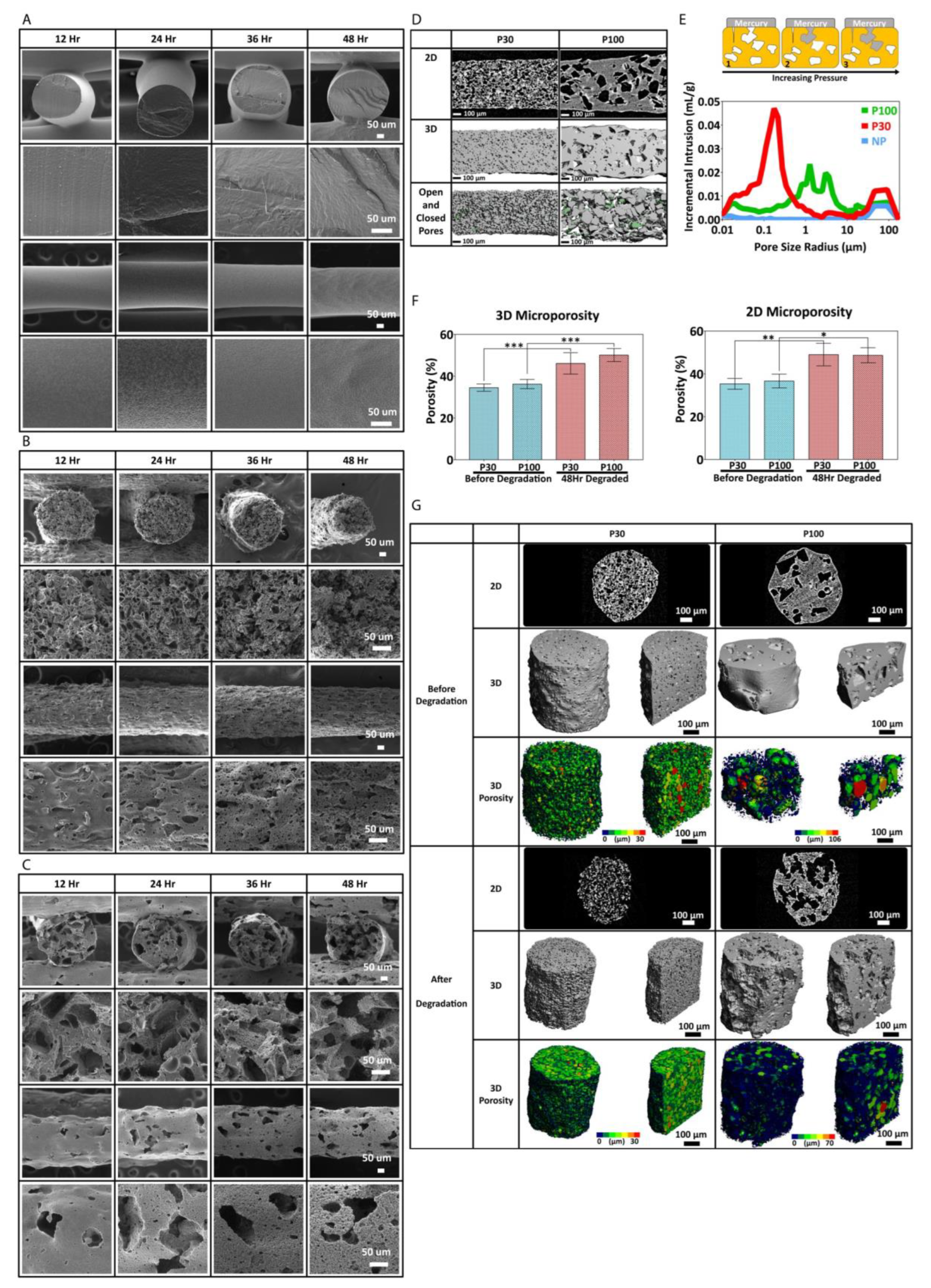Pharmaceutics 15 01340 g006 Pharmaceutics 15 01340 g006