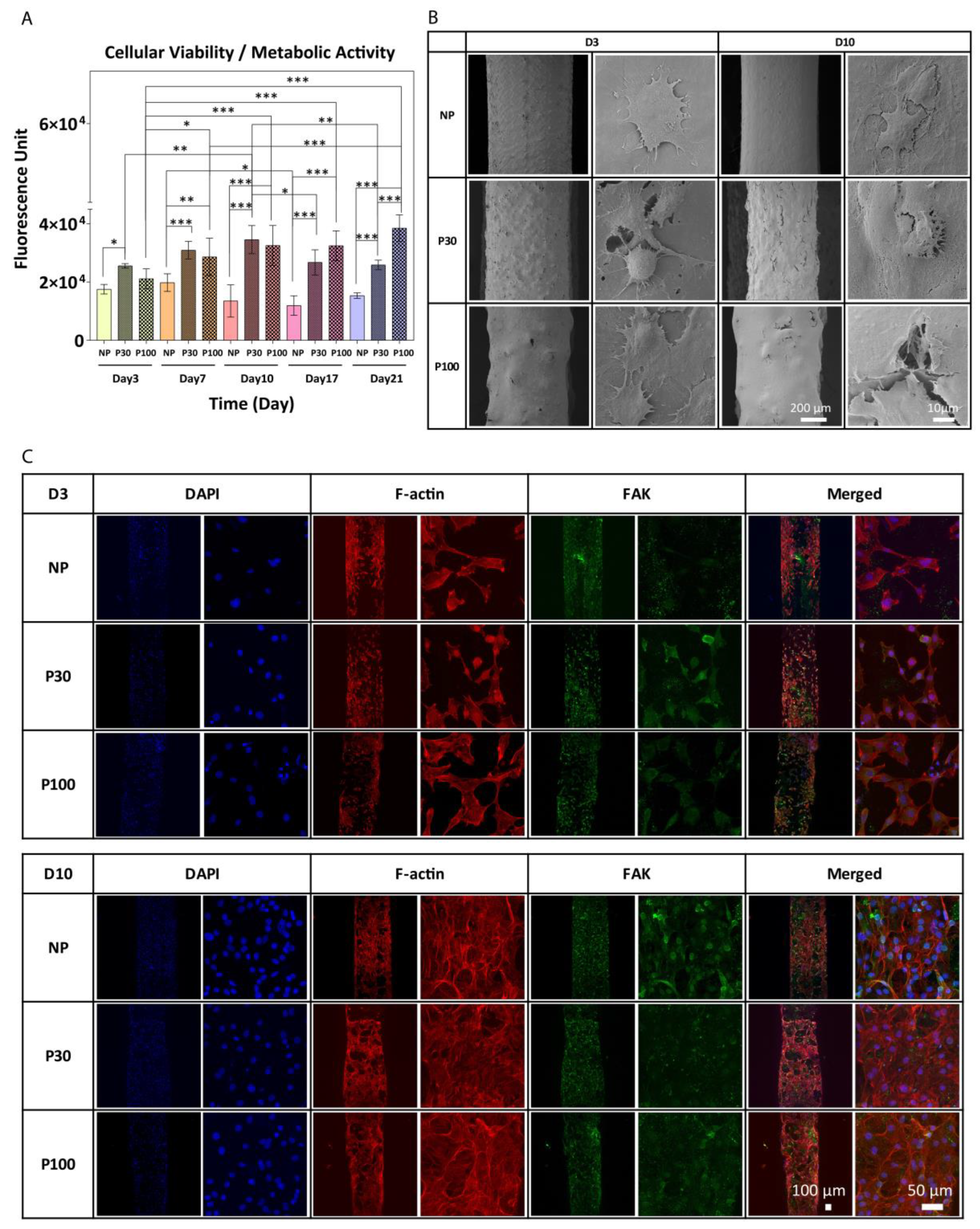 Pharmaceutics 15 01340 g007 Pharmaceutics 15 01340 g007