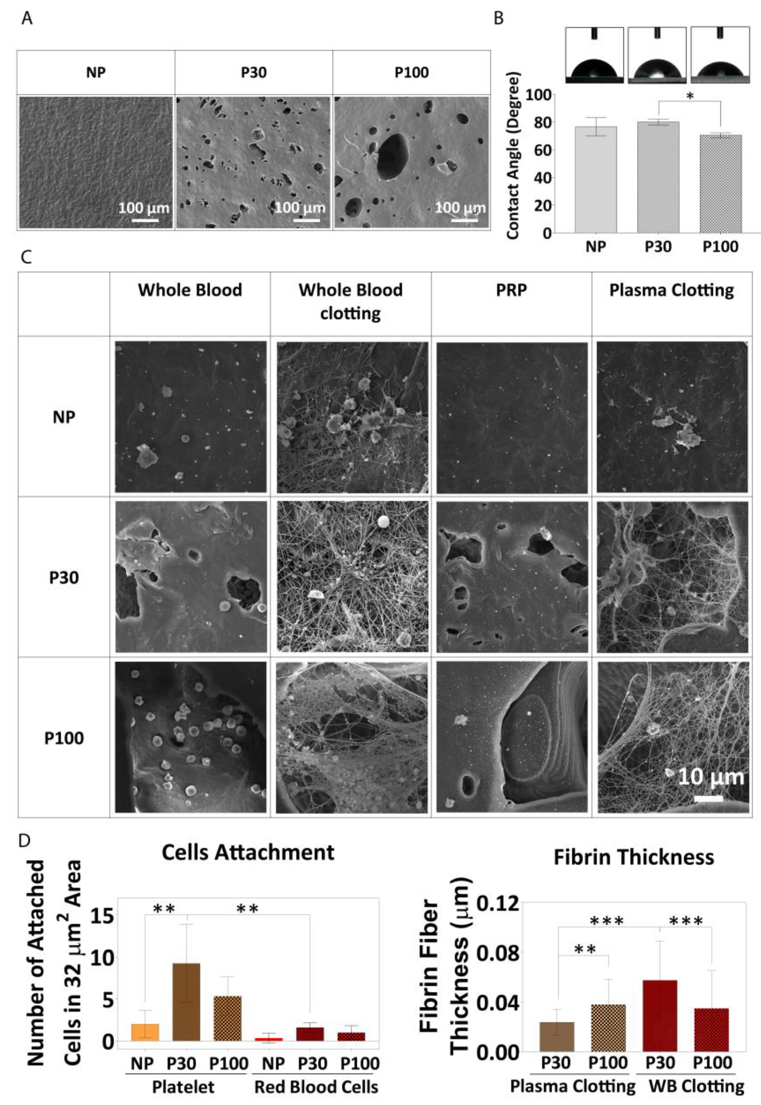 Pharmaceutics 15 01340 g008 Pharmaceutics 15 01340 g008