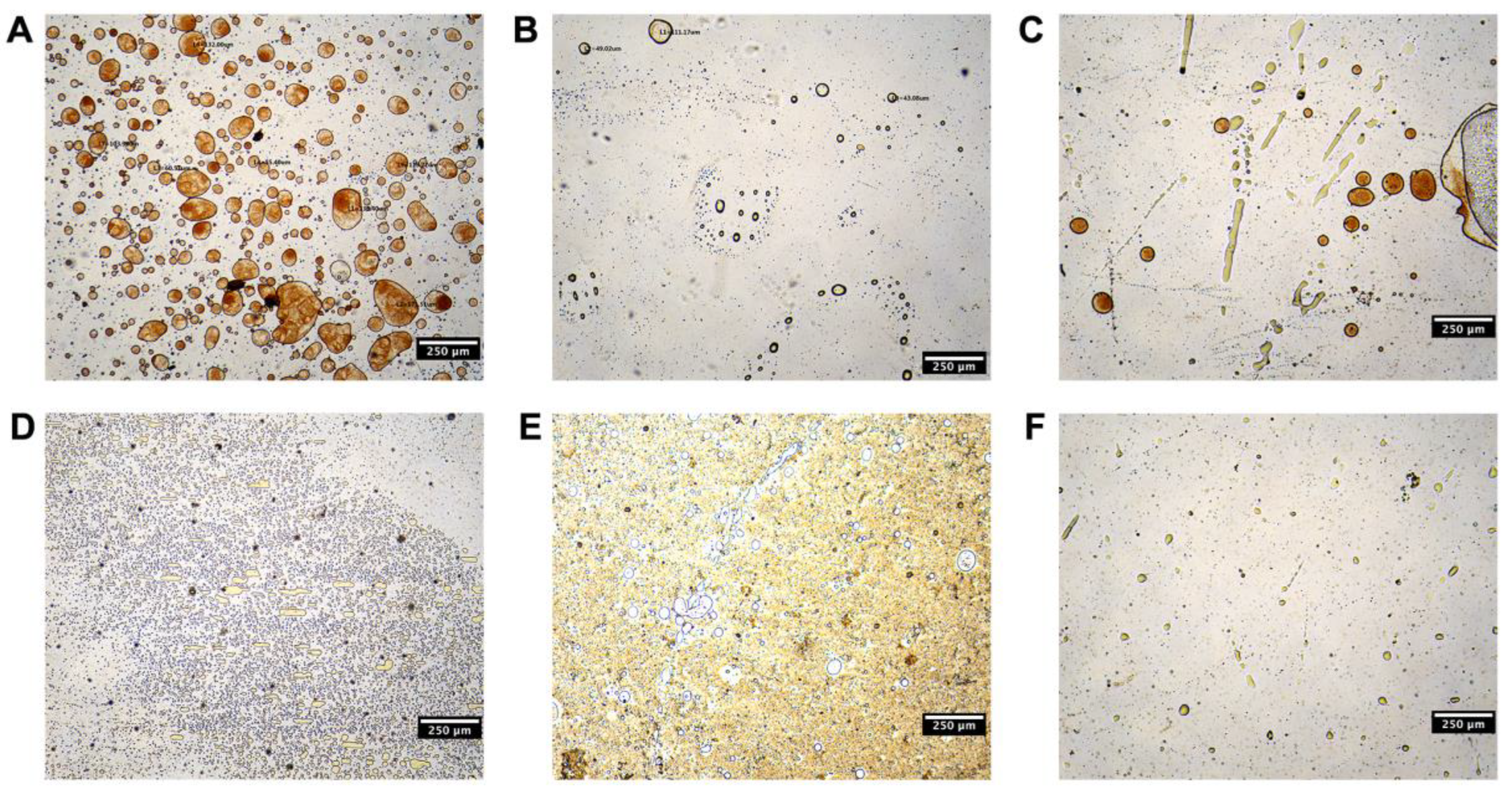 Pharmaceutics 15 01341 g002