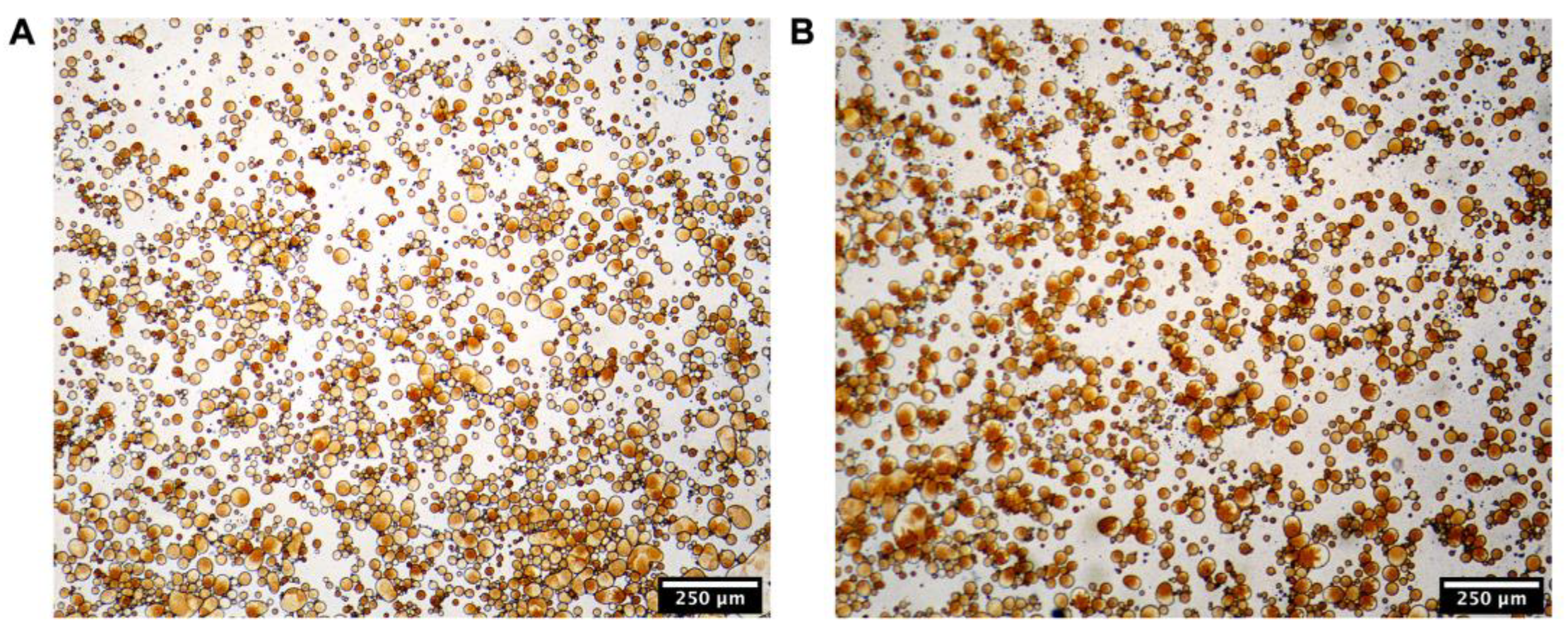 Pharmaceutics 15 01341 g005