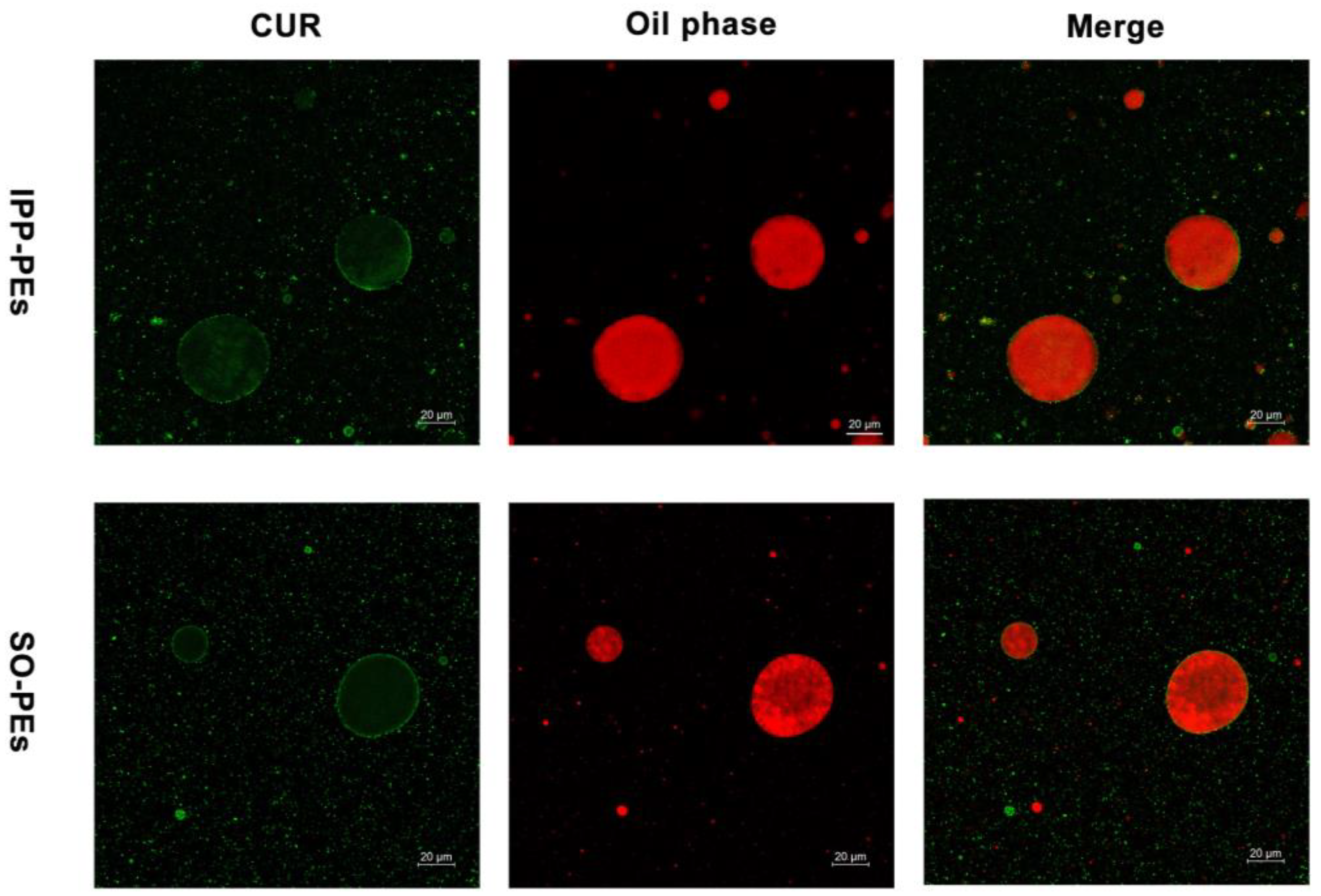 Pharmaceutics 15 01341 g006