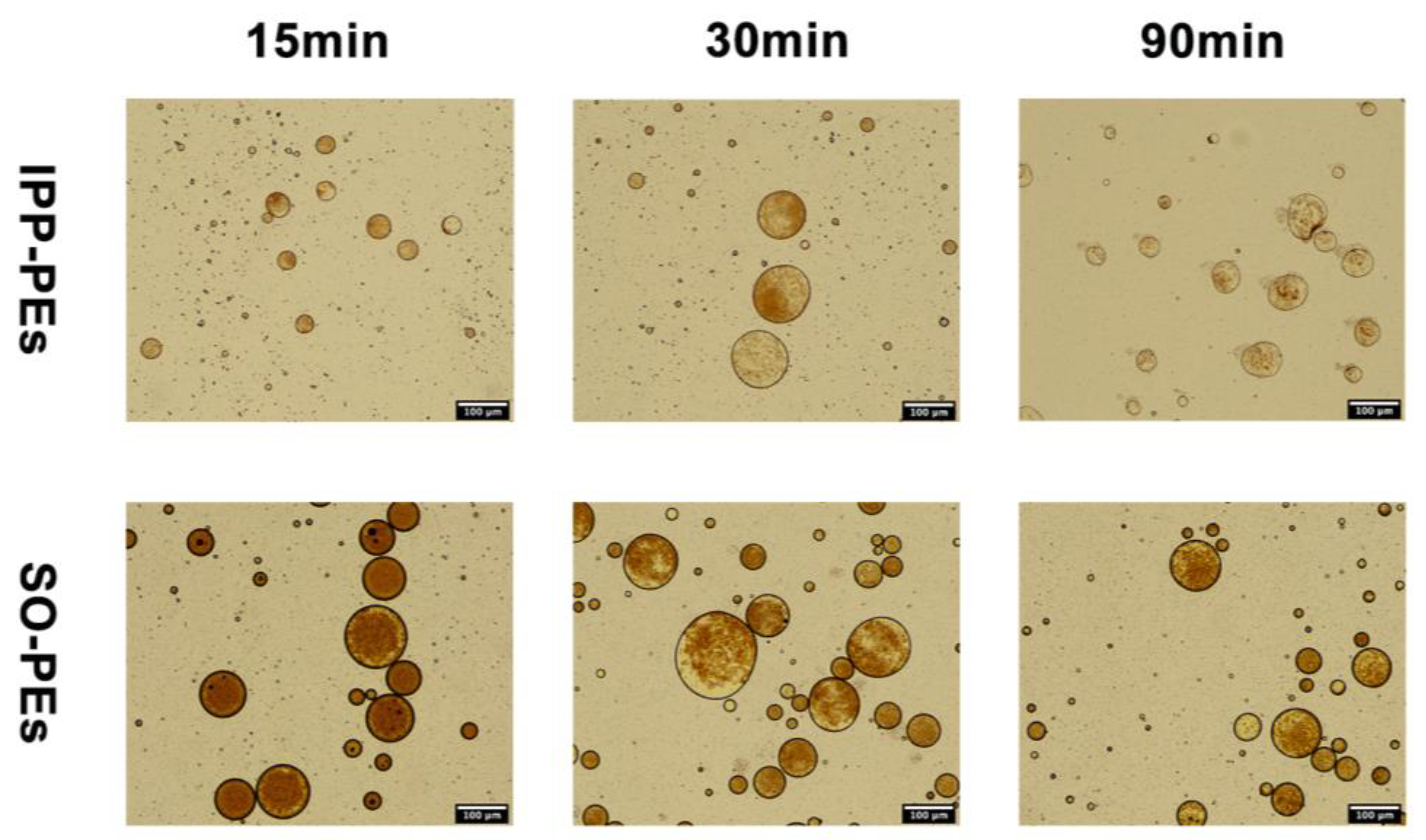 Pharmaceutics 15 01341 g009
