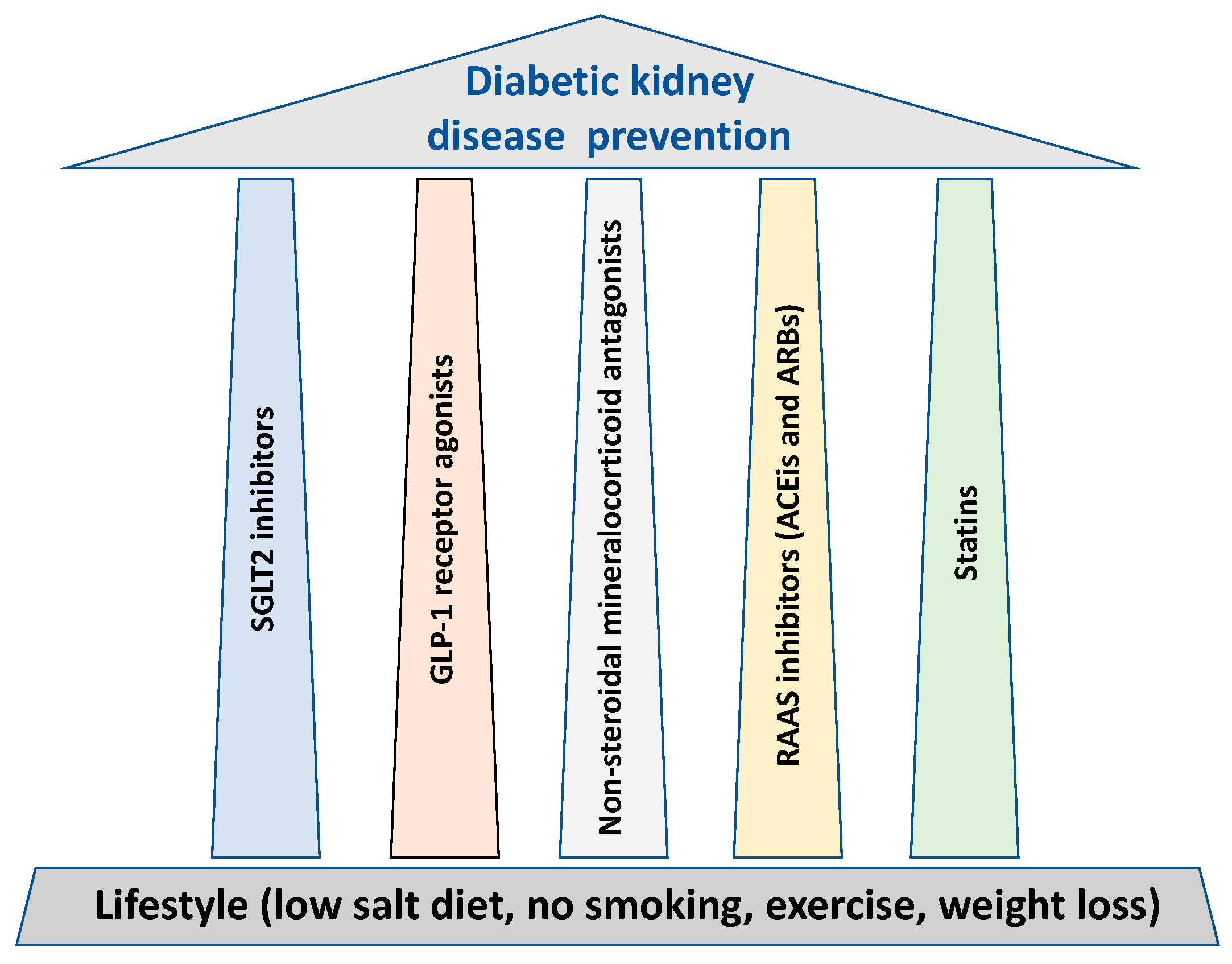 Pharmaceutics Free FullText The Pillars for Renal Disease Treatment in Patients with Type 2