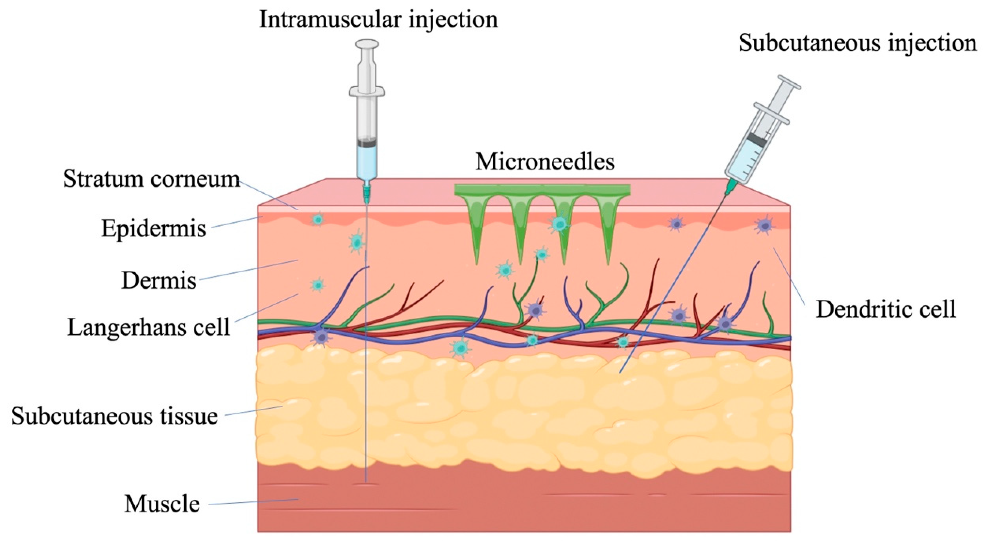 Pharmaceutics 15 01349 g001 Pharmaceutics 15 01349 g001