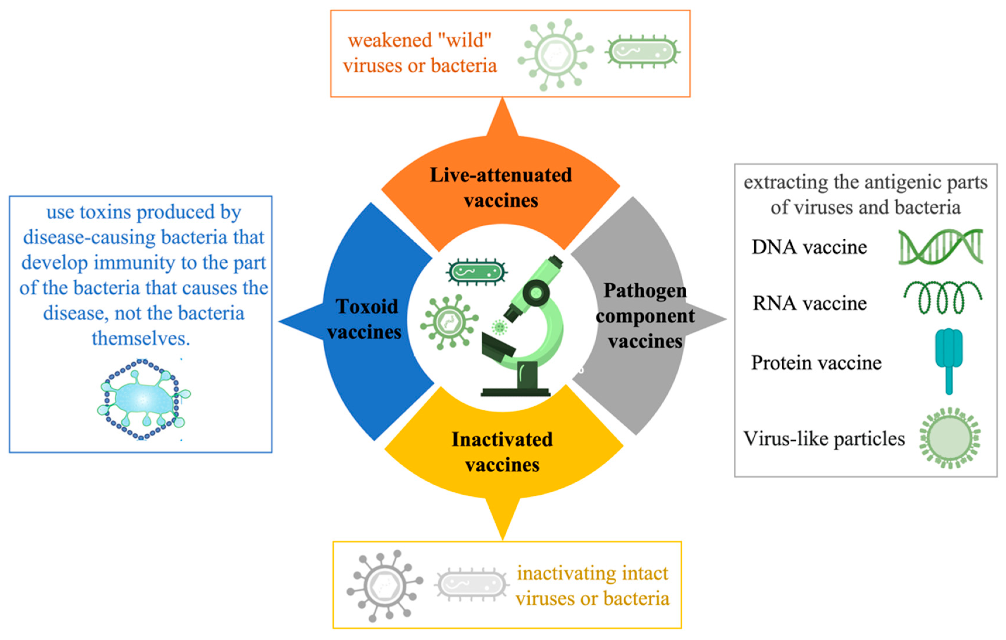 Pharmaceutics 15 01349 g004 Pharmaceutics 15 01349 g004