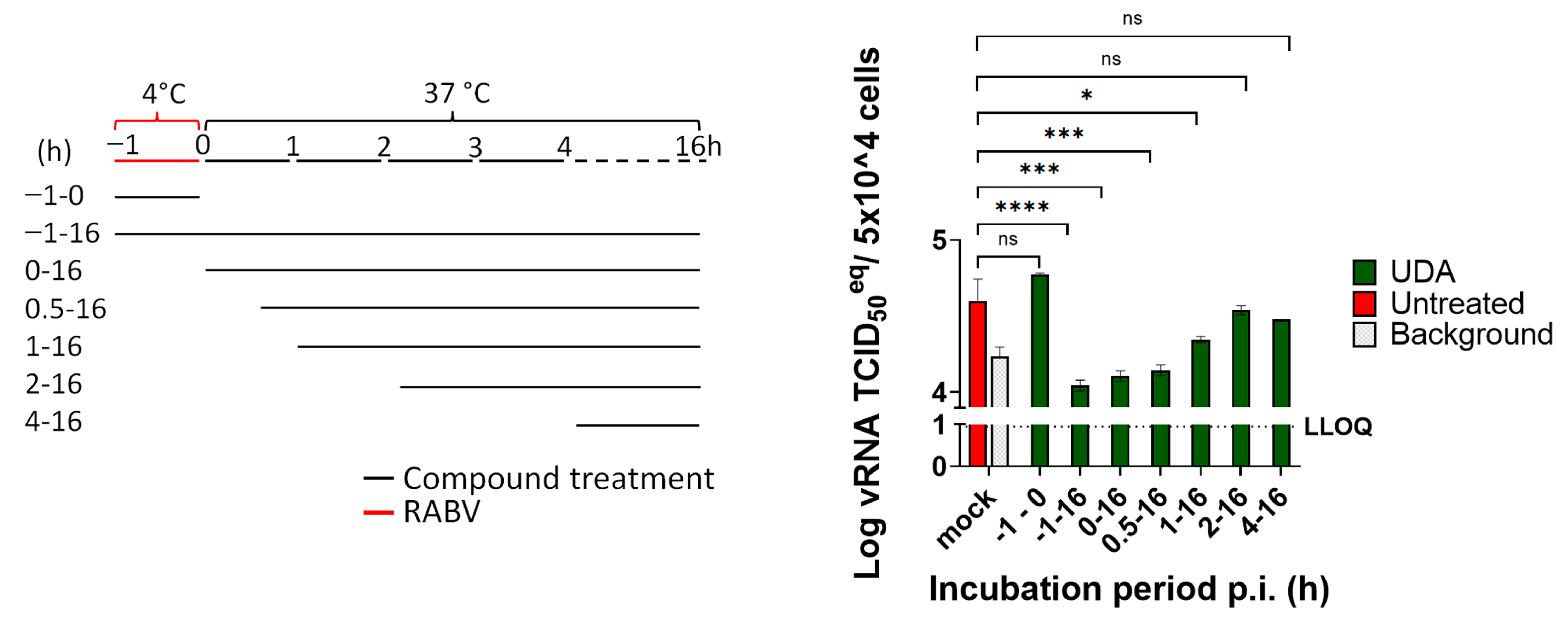 Pharmaceutics 15 01353 g002 Pharmaceutics 15 01353 g002