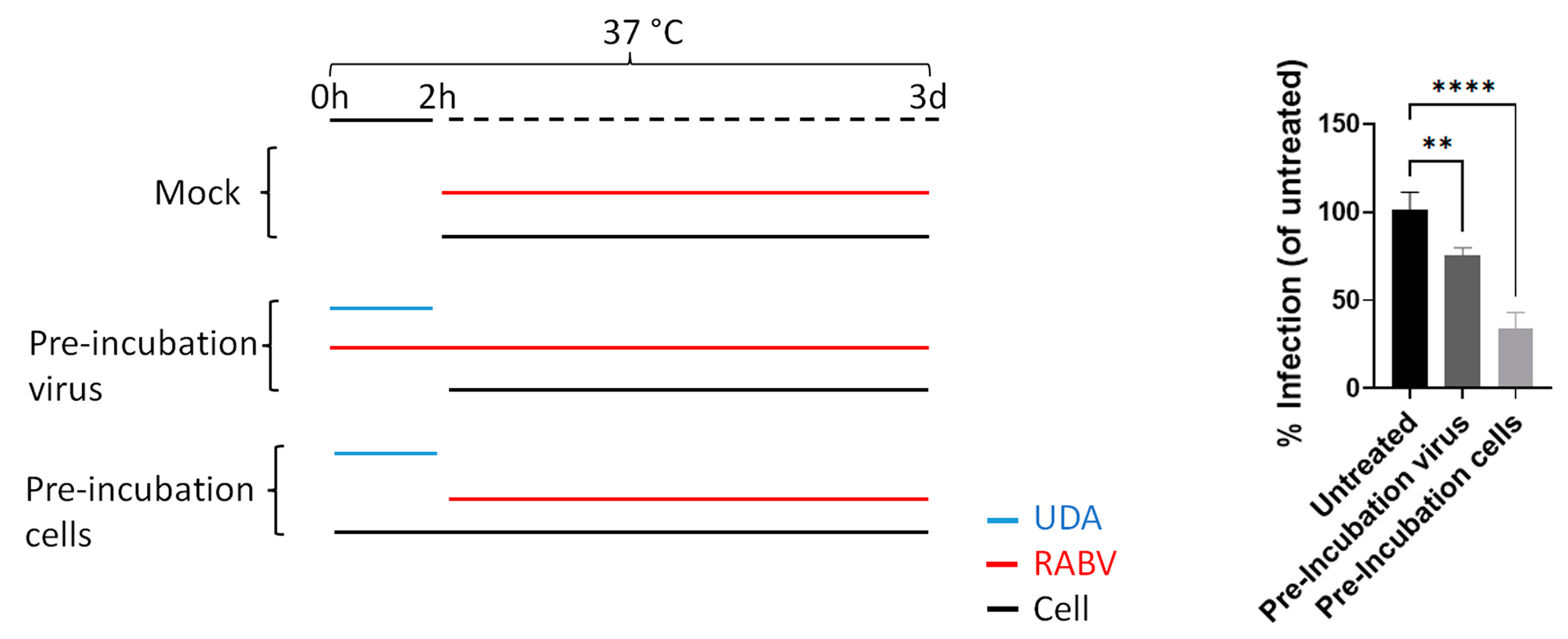 Pharmaceutics 15 01353 g003 Pharmaceutics 15 01353 g003