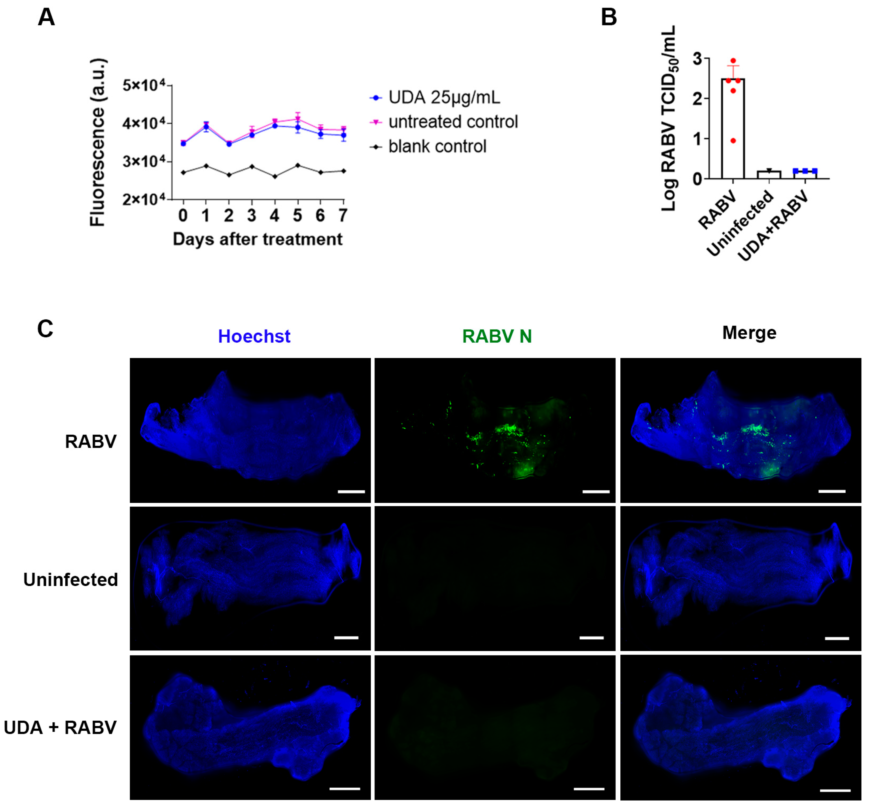 Pharmaceutics 15 01353 g005 Pharmaceutics 15 01353 g005