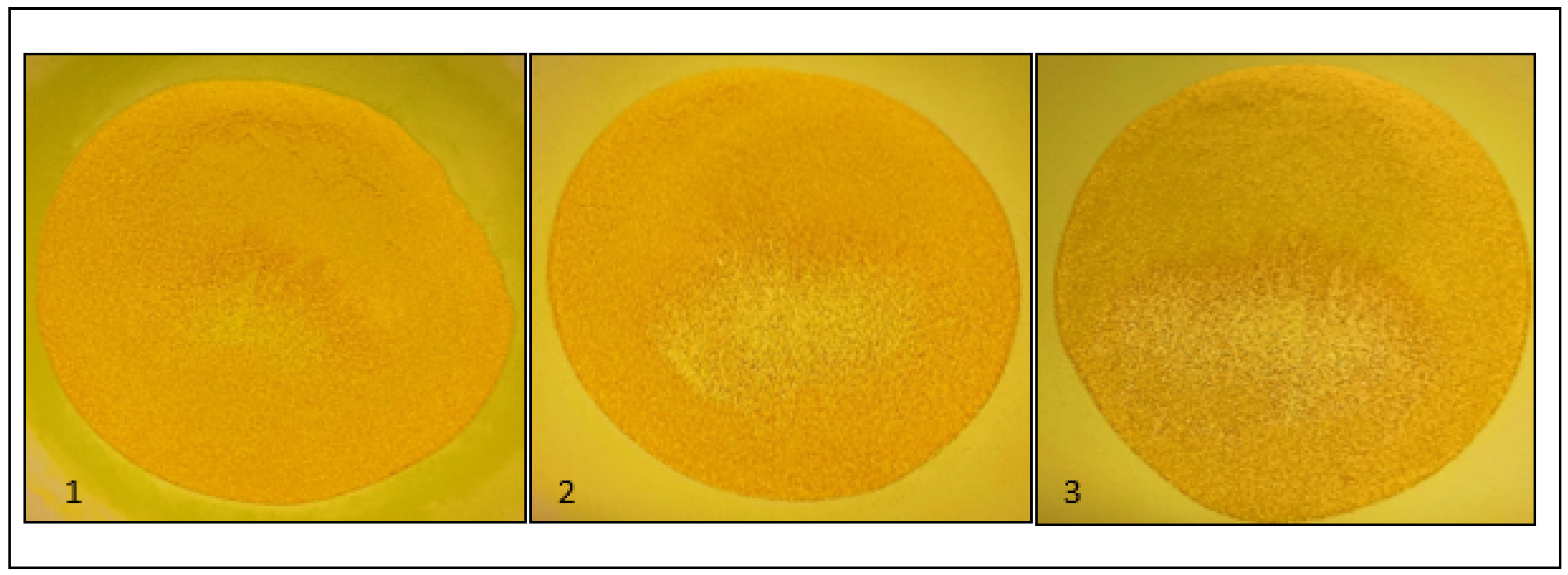 Pharmaceutics 15 01354 g002