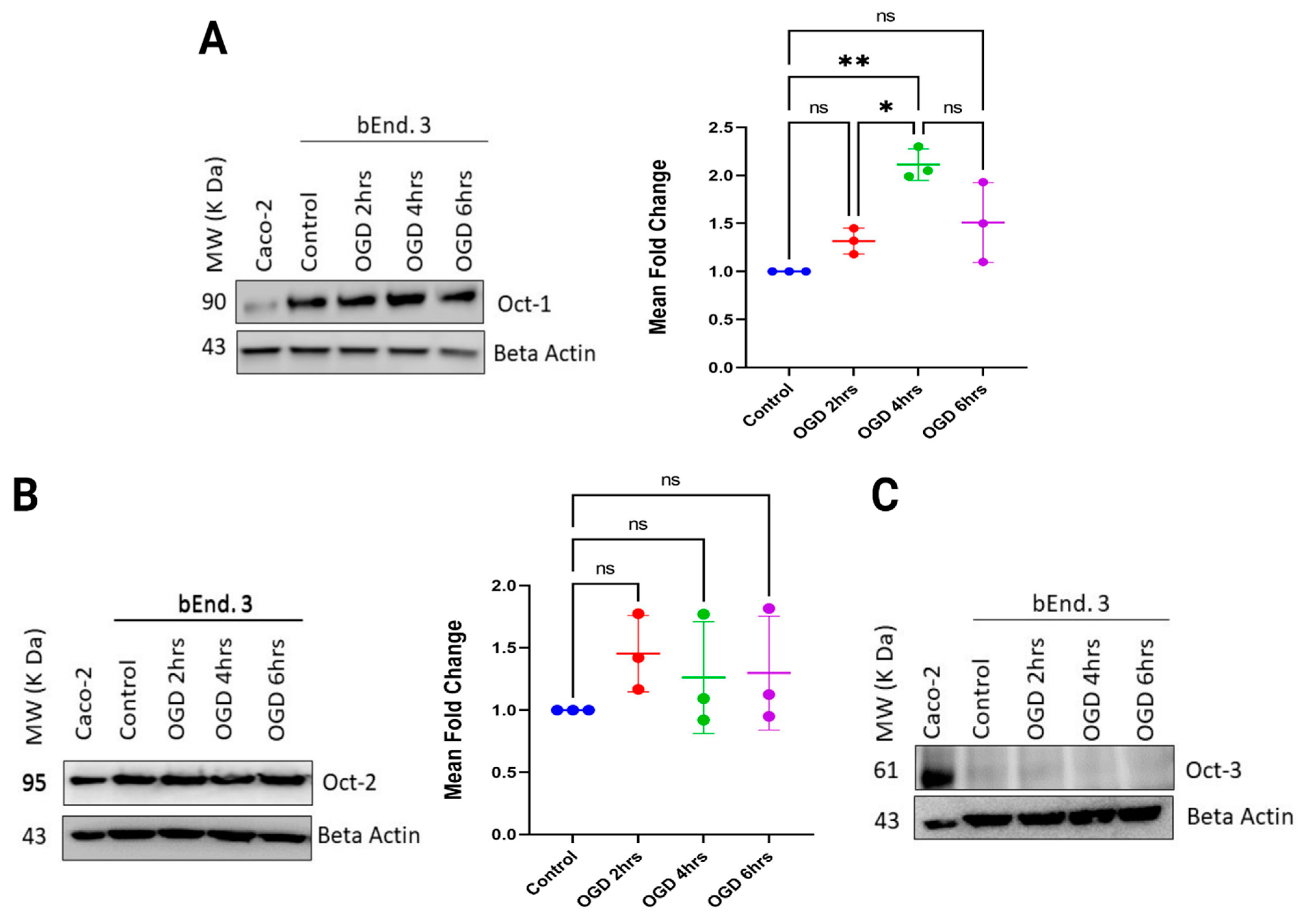 Pharmaceutics 15 01357 g004 Pharmaceutics 15 01357 g004