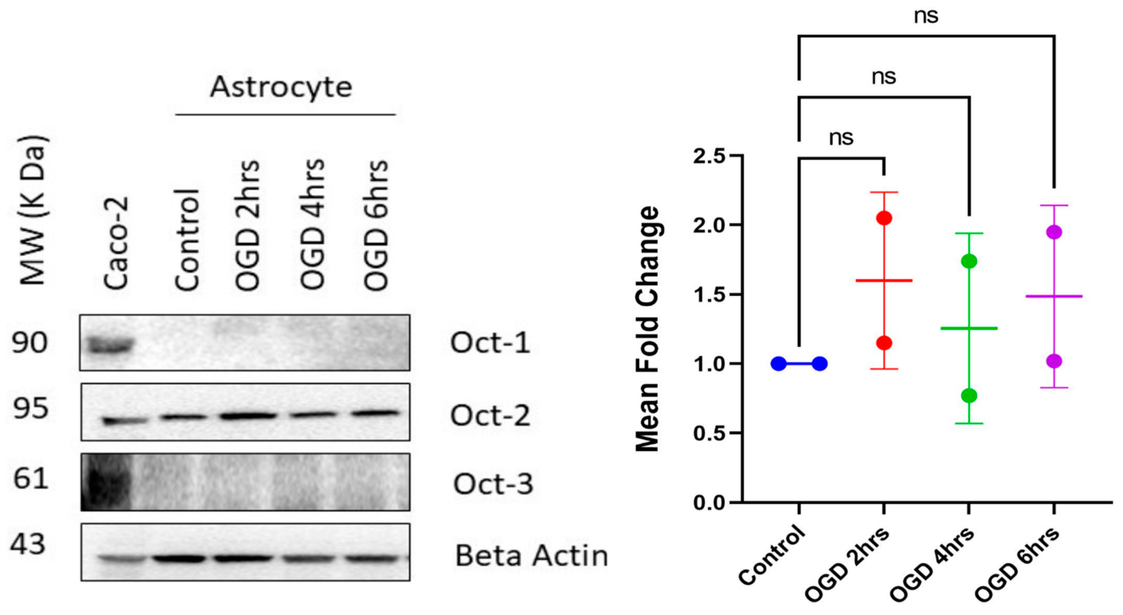 Pharmaceutics 15 01357 g006 Pharmaceutics 15 01357 g006