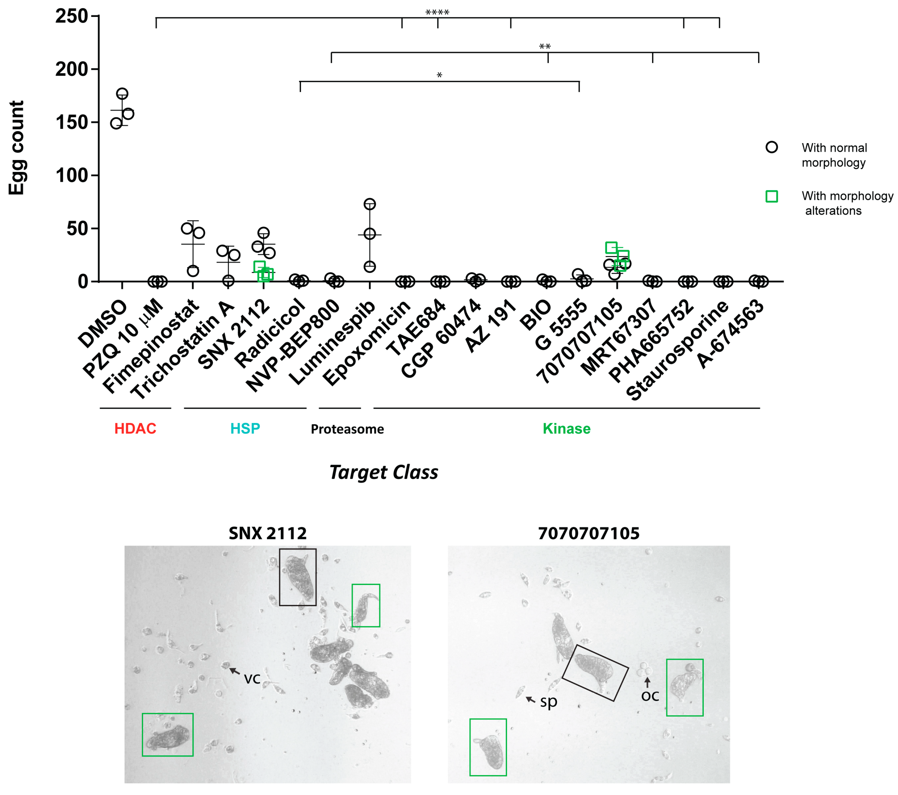 Pharmaceutics 15 01359 g007 Pharmaceutics 15 01359 g007