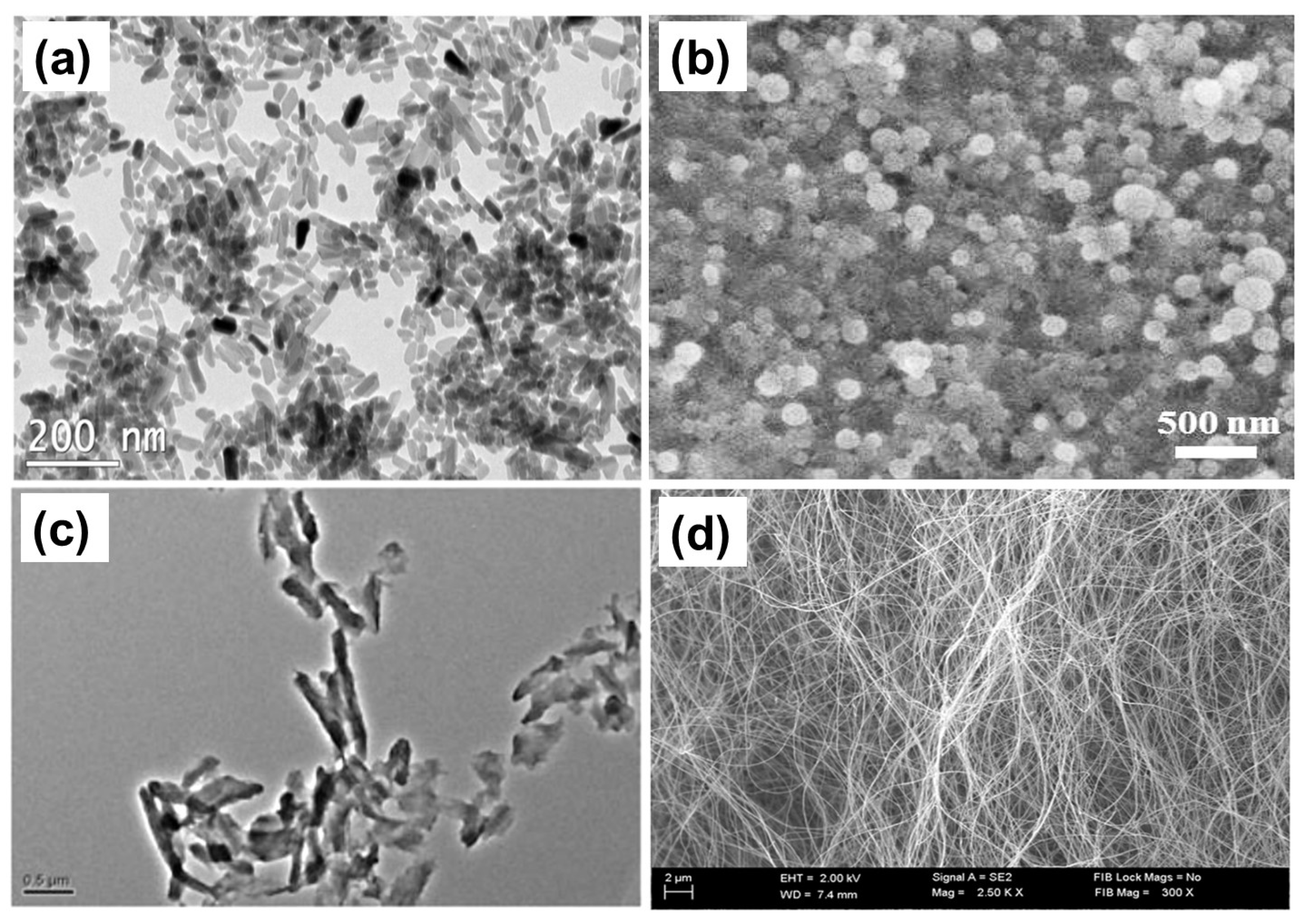 Pharmaceutics 15 01364 g005