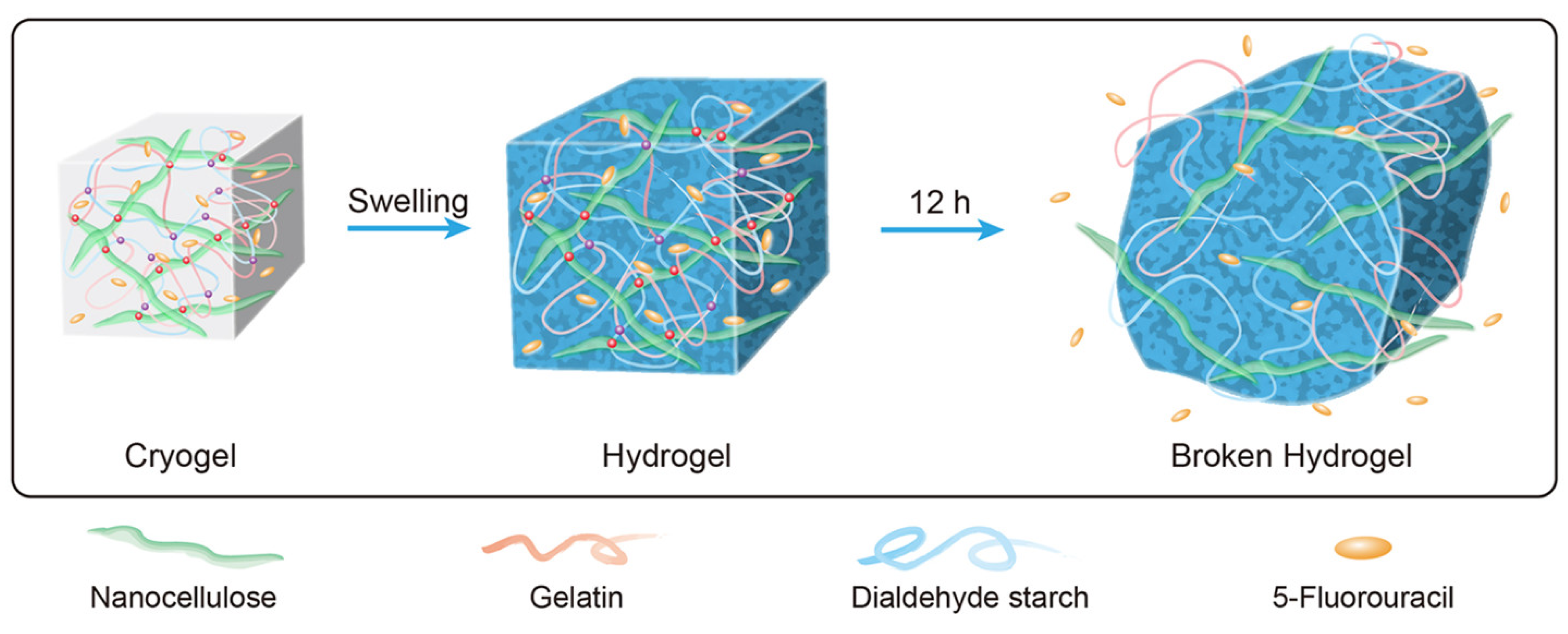 Pharmaceutics 15 01364 g006 Pharmaceutics 15 01364 g006