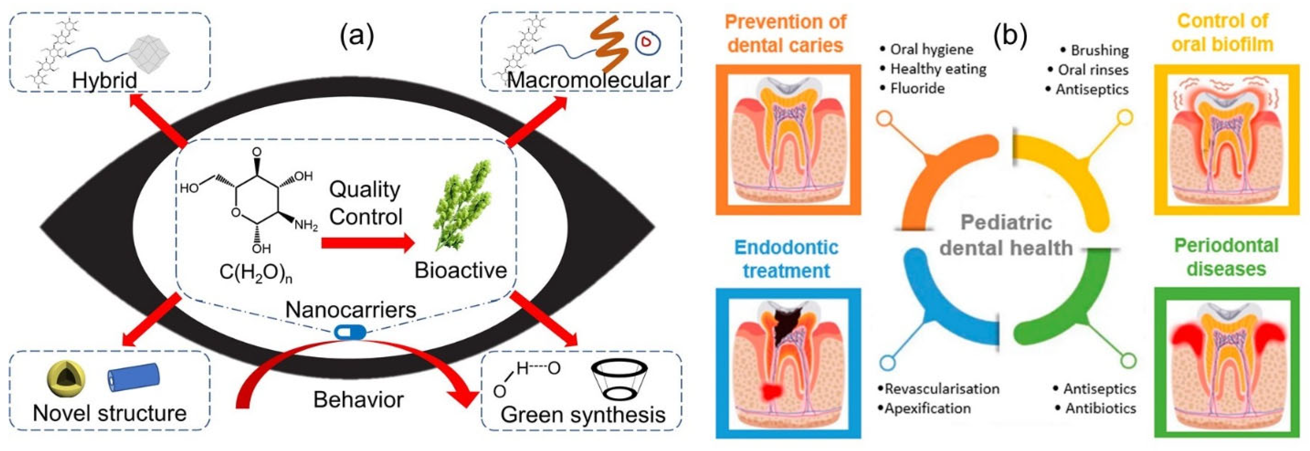 Pharmaceutics 15 01364 g010 Pharmaceutics 15 01364 g010